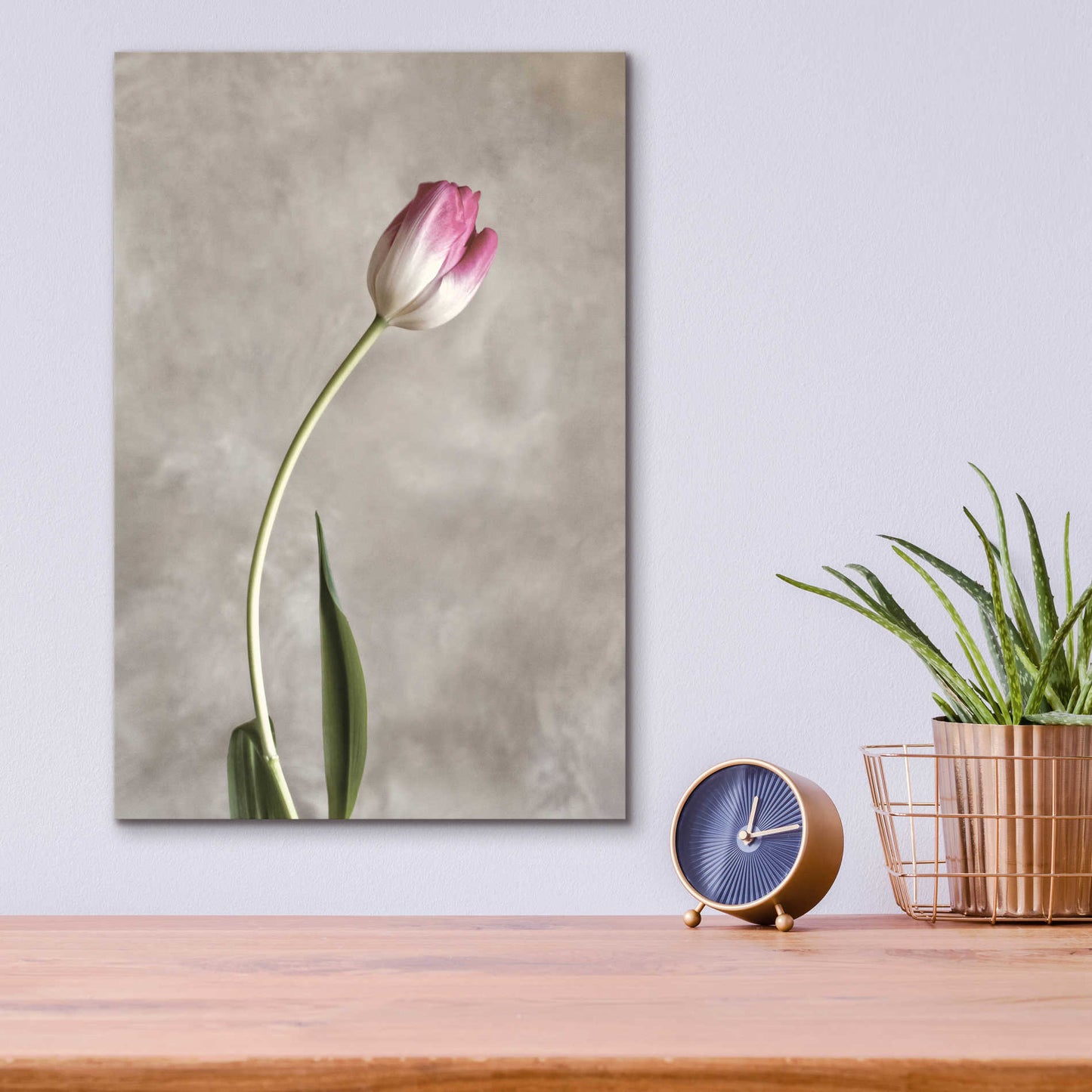 Epic Art 'Fresh Tulips I' by Debra Van Swearingen, Acrylic Glass Wall Art,12x16