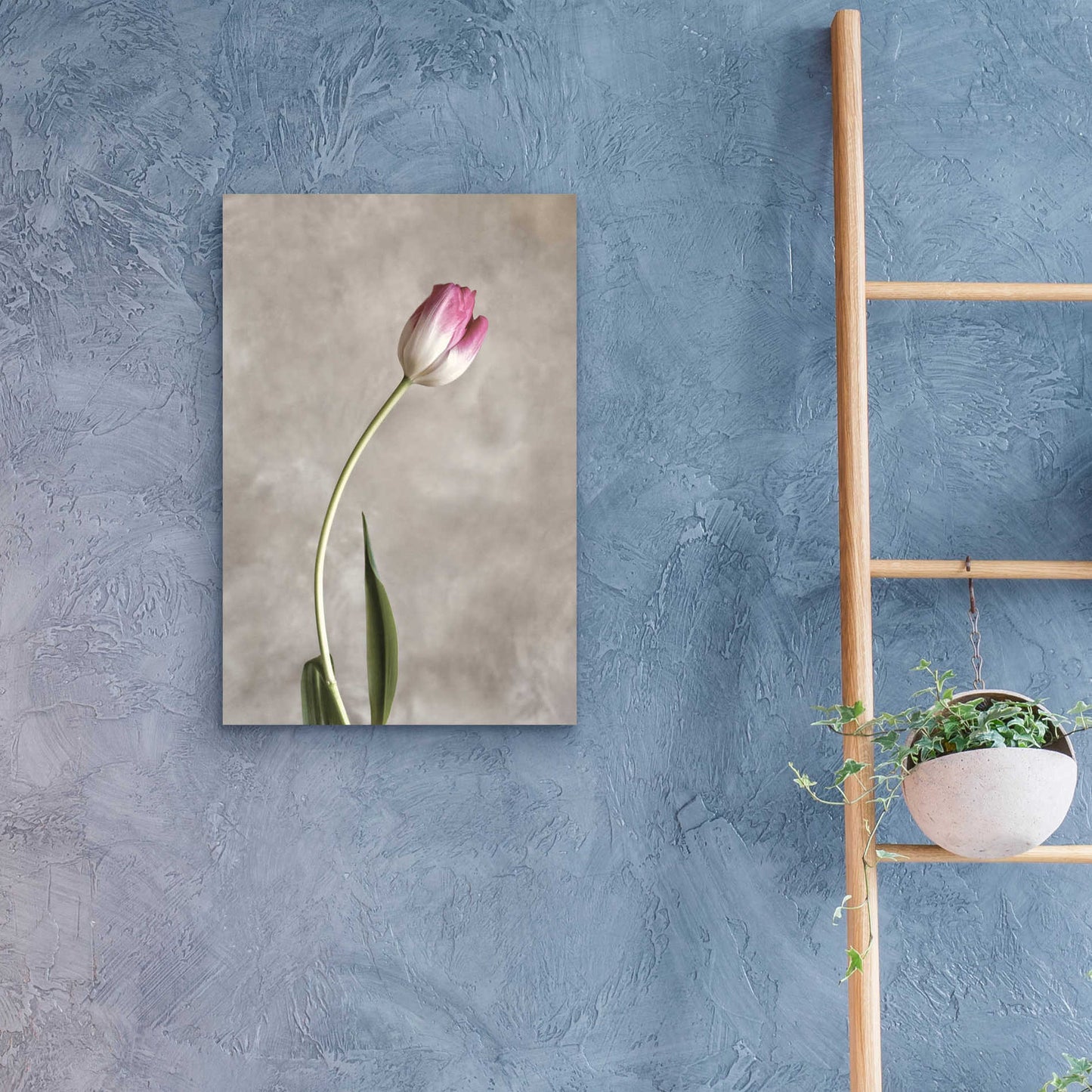 Epic Art 'Fresh Tulips I' by Debra Van Swearingen, Acrylic Glass Wall Art,16x24