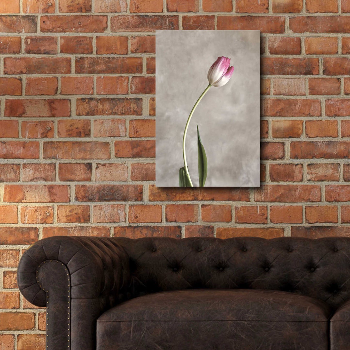 Epic Art 'Fresh Tulips I' by Debra Van Swearingen, Acrylic Glass Wall Art,16x24