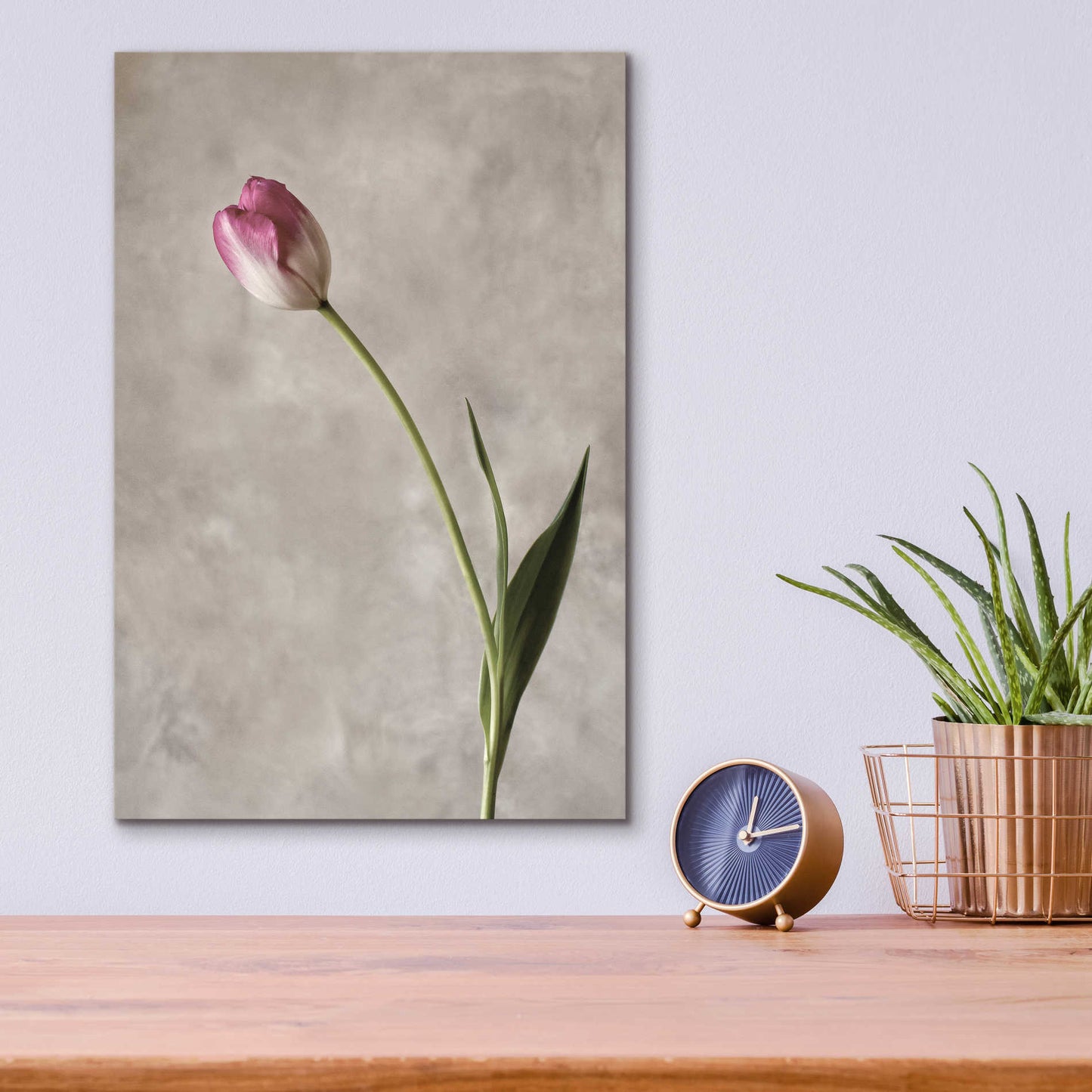 Epic Art 'Fresh Tulips II' by Debra Van Swearingen, Acrylic Glass Wall Art,12x16