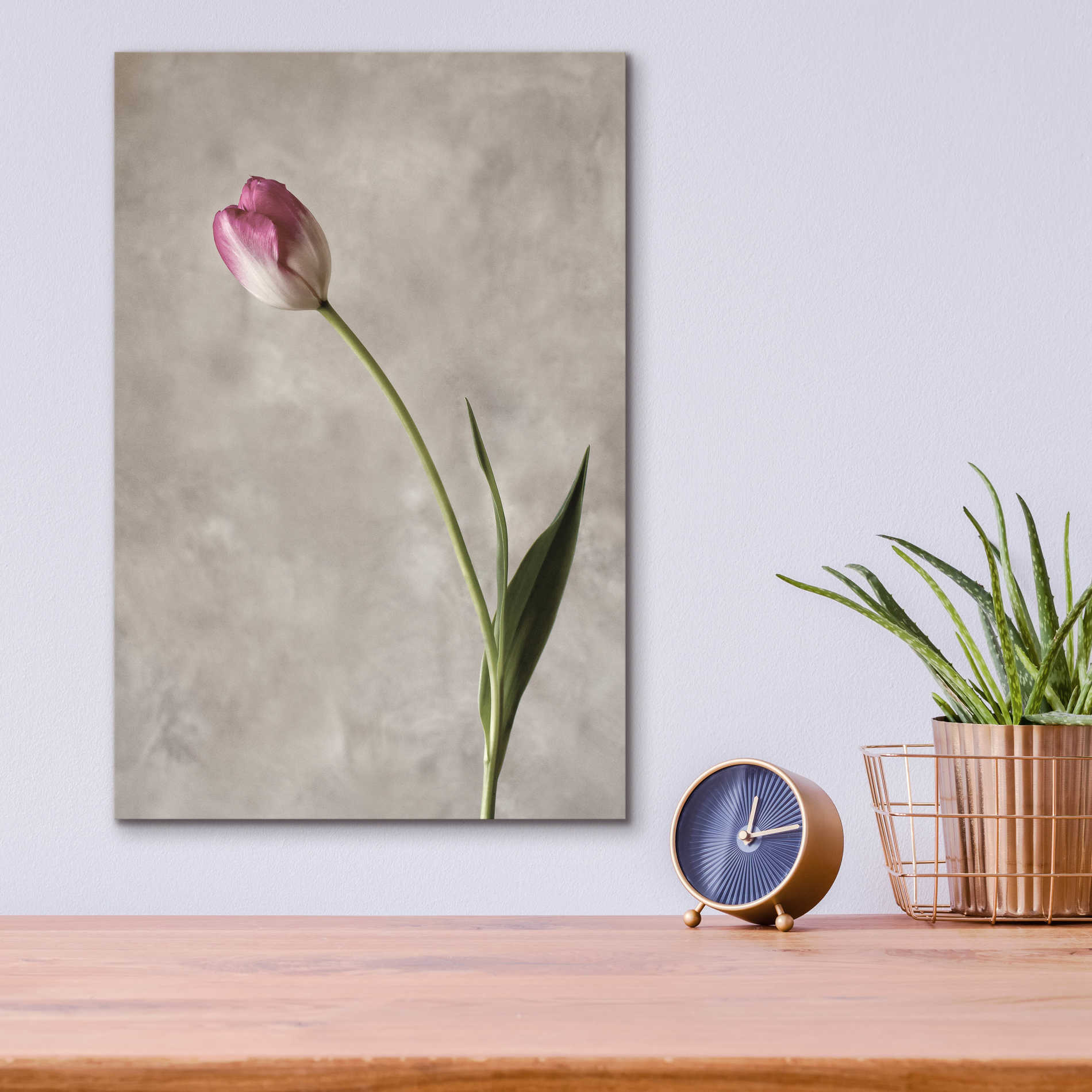 Epic Art 'Fresh Tulips II' by Debra Van Swearingen, Acrylic Glass Wall Art,12x16