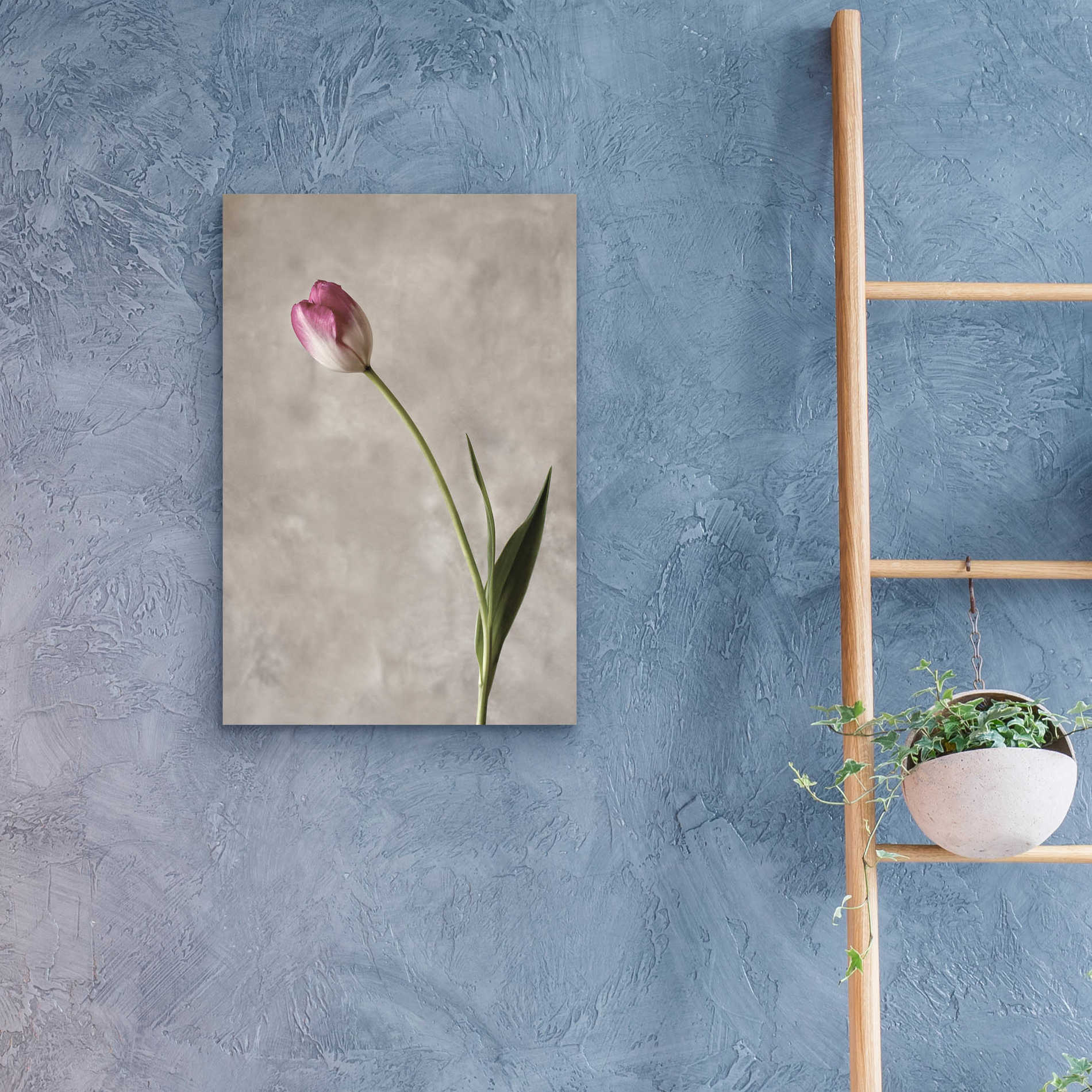 Epic Art 'Fresh Tulips II' by Debra Van Swearingen, Acrylic Glass Wall Art,16x24