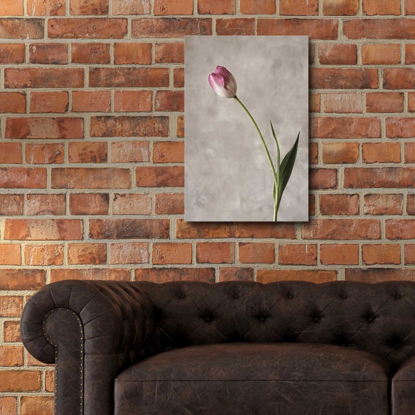 Epic Art 'Fresh Tulips II' by Debra Van Swearingen, Acrylic Glass Wall Art,16x24