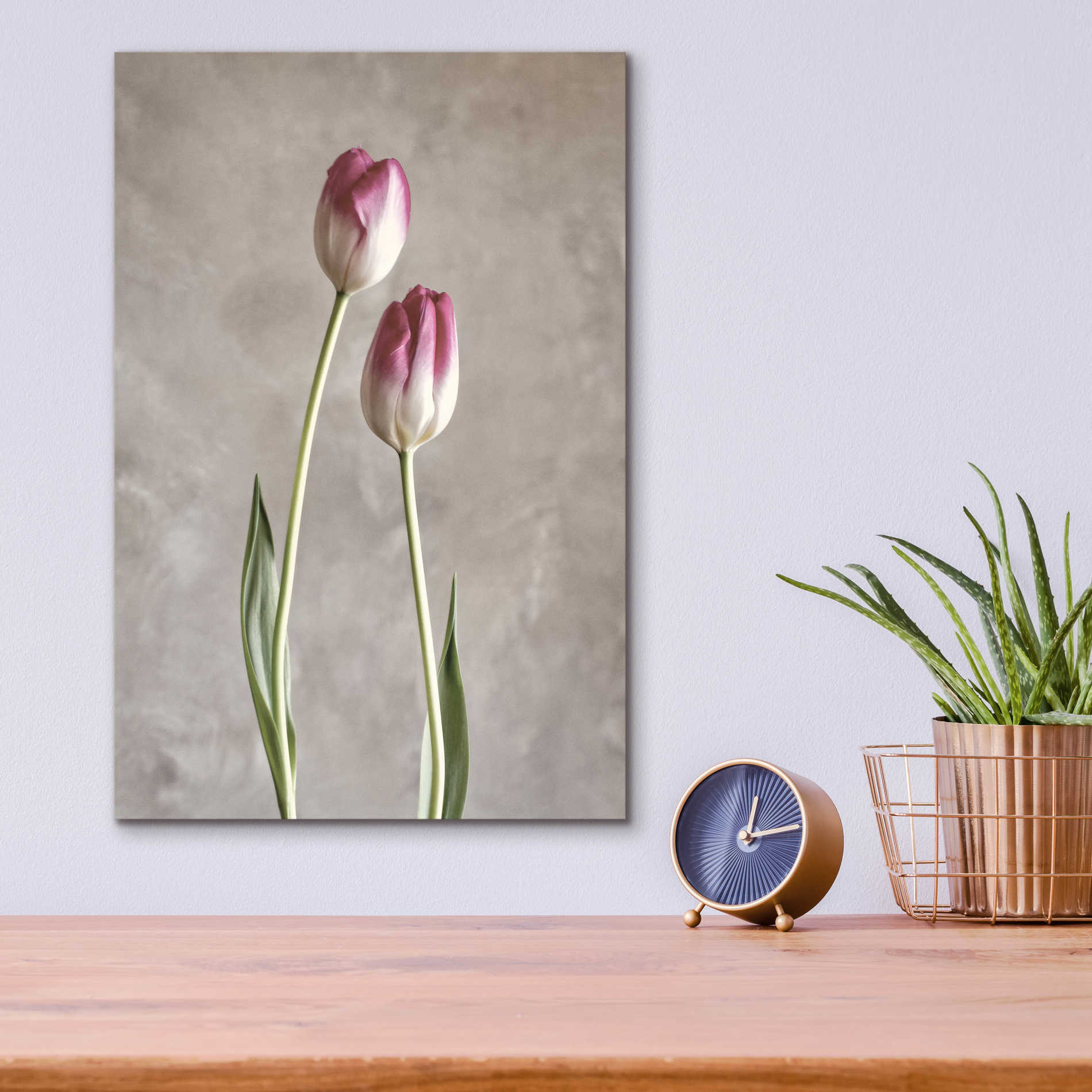 Epic Art 'Fresh Tulips III' by Debra Van Swearingen, Acrylic Glass Wall Art,12x16