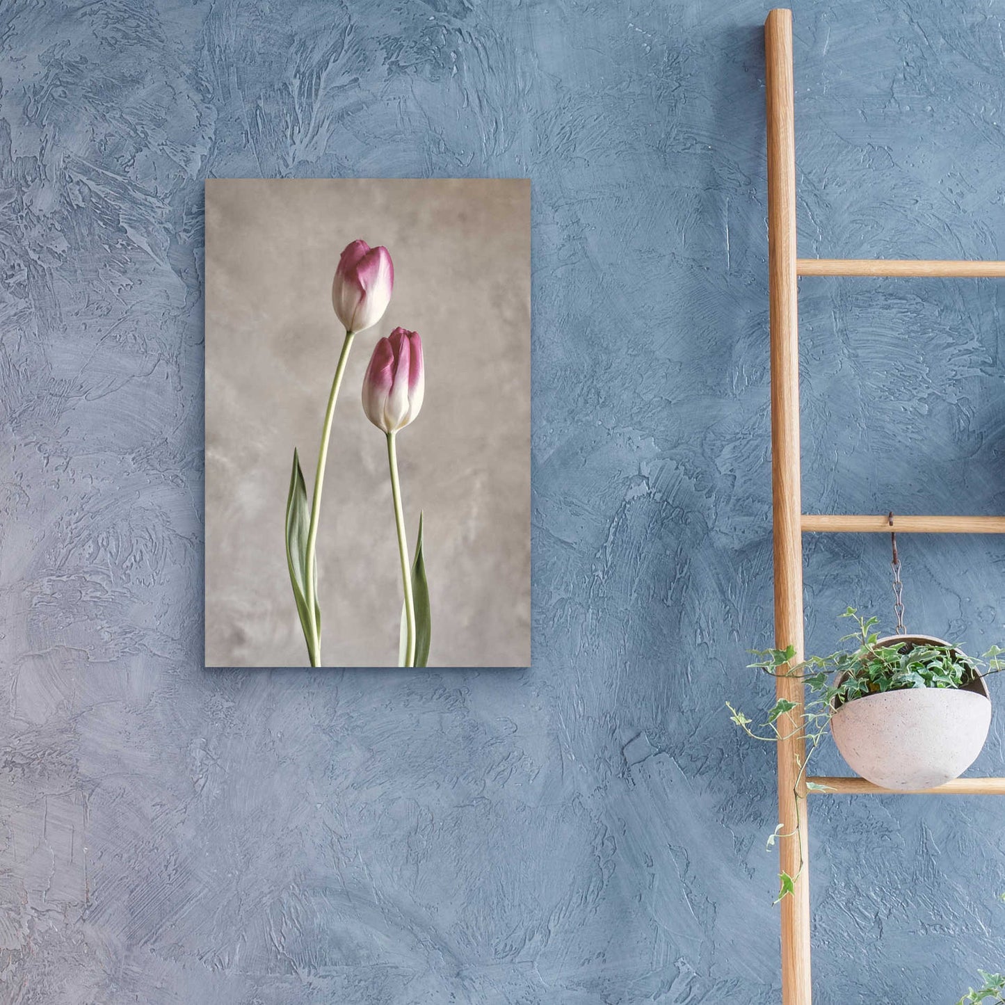 Epic Art 'Fresh Tulips III' by Debra Van Swearingen, Acrylic Glass Wall Art,16x24