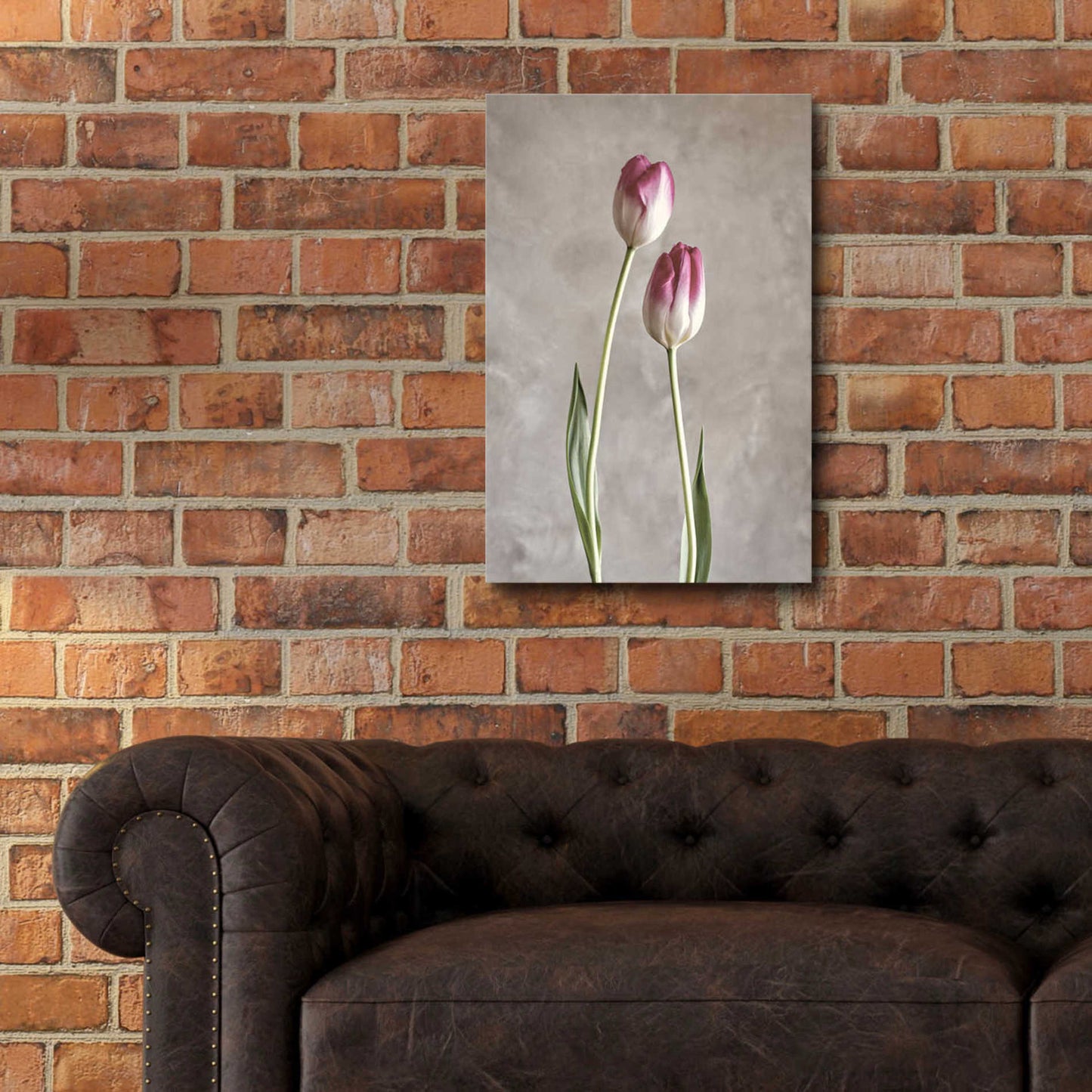 Epic Art 'Fresh Tulips III' by Debra Van Swearingen, Acrylic Glass Wall Art,16x24