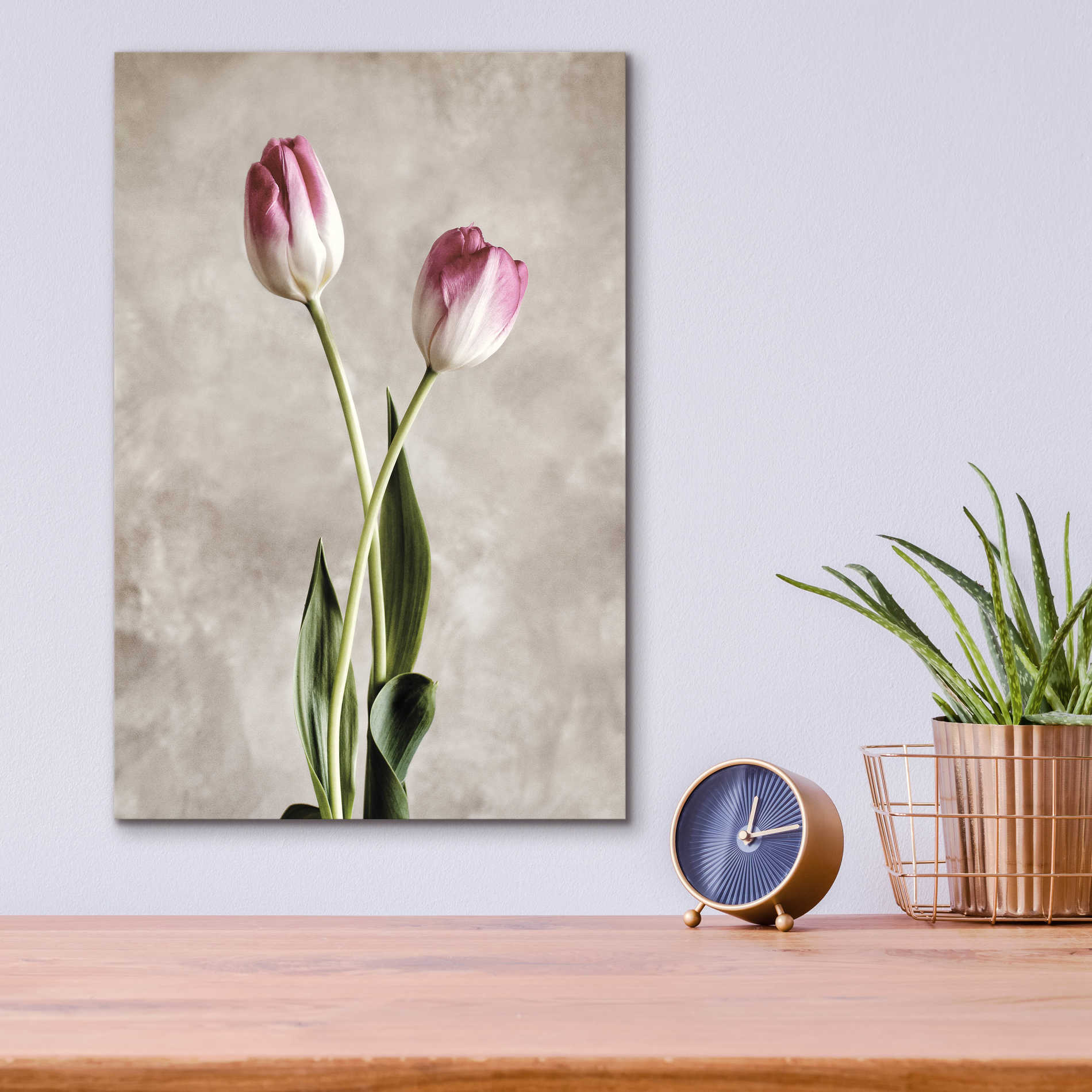 Epic Art 'Fresh Tulips IV' by Debra Van Swearingen, Acrylic Glass Wall Art,12x16