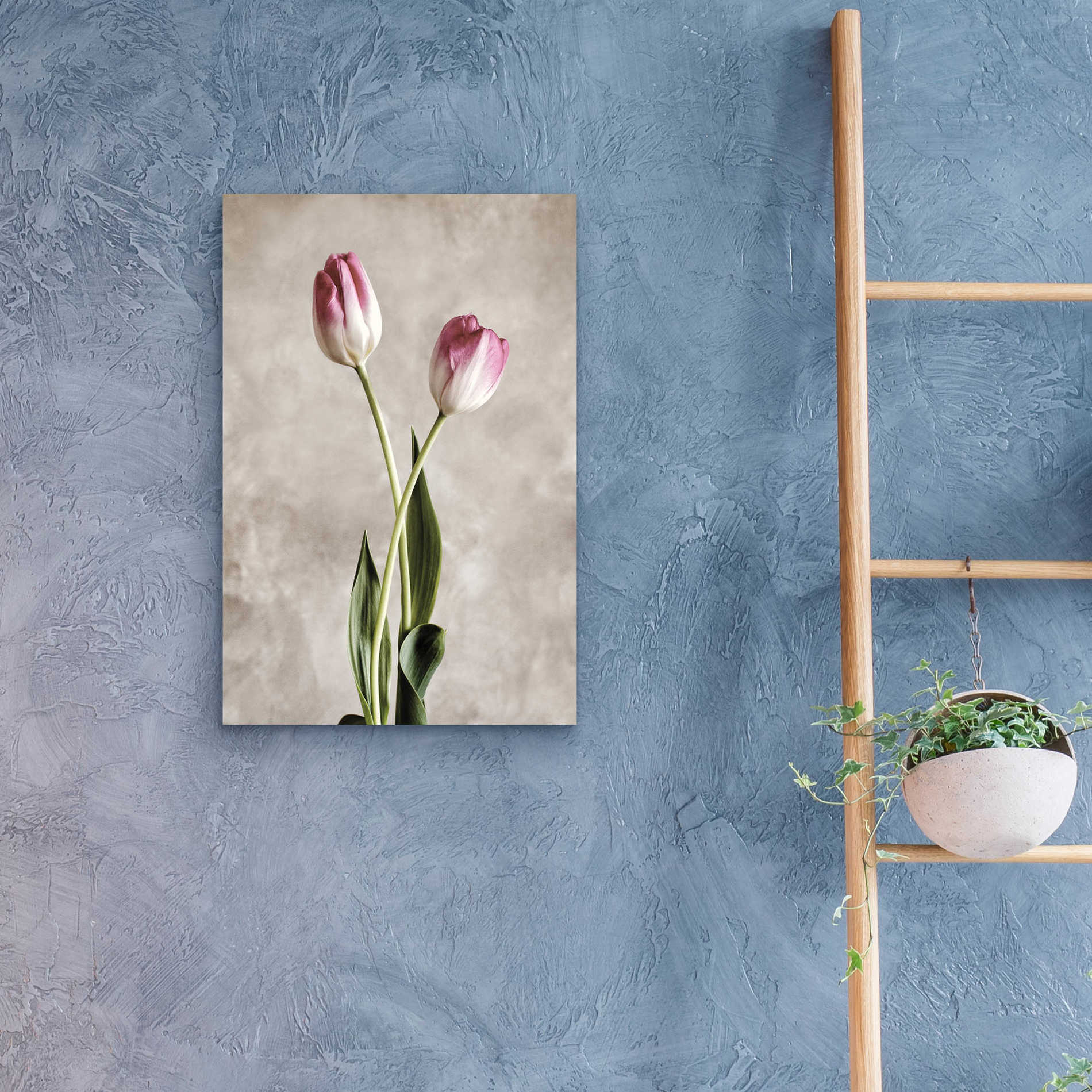 Epic Art 'Fresh Tulips IV' by Debra Van Swearingen, Acrylic Glass Wall Art,16x24