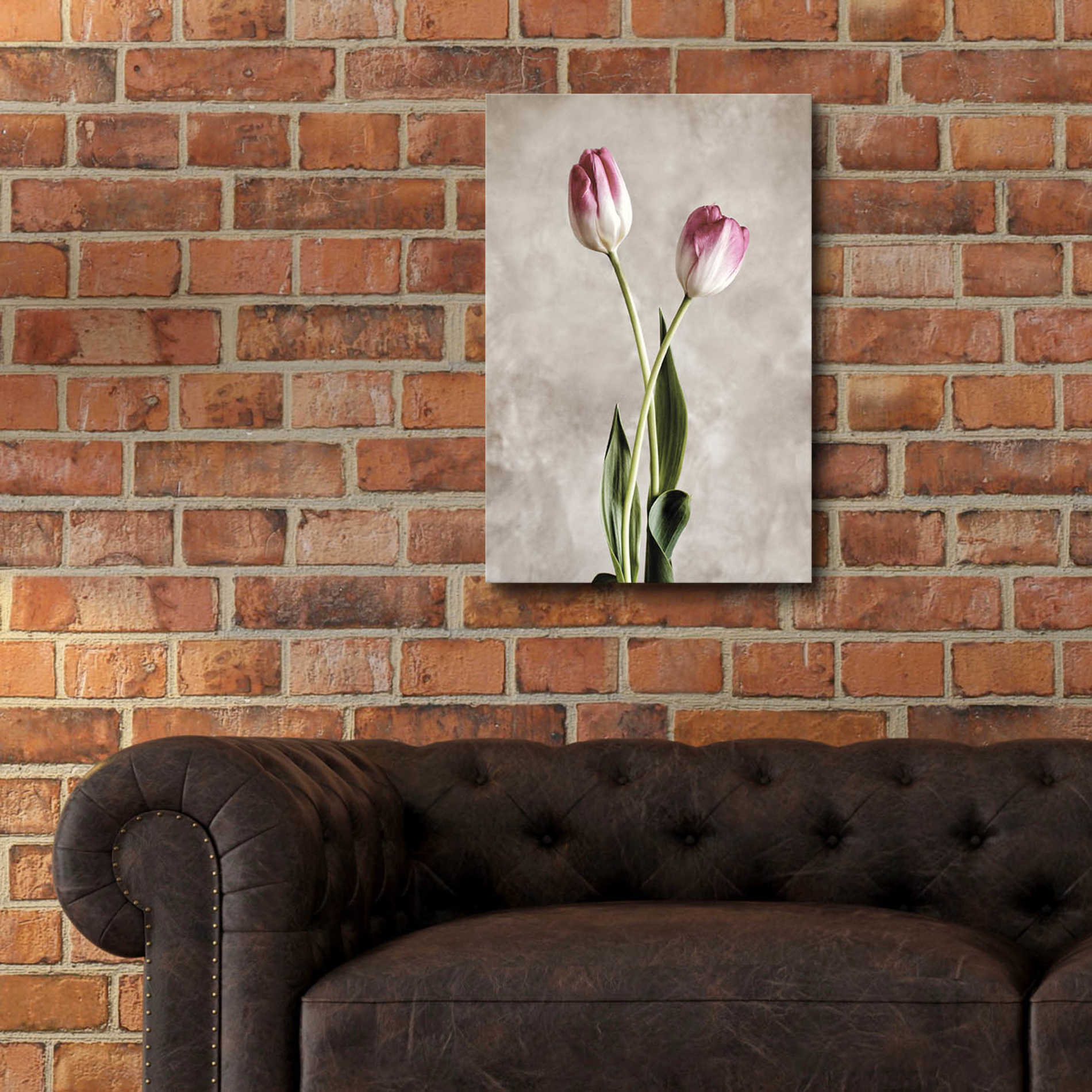 Epic Art 'Fresh Tulips IV' by Debra Van Swearingen, Acrylic Glass Wall Art,16x24