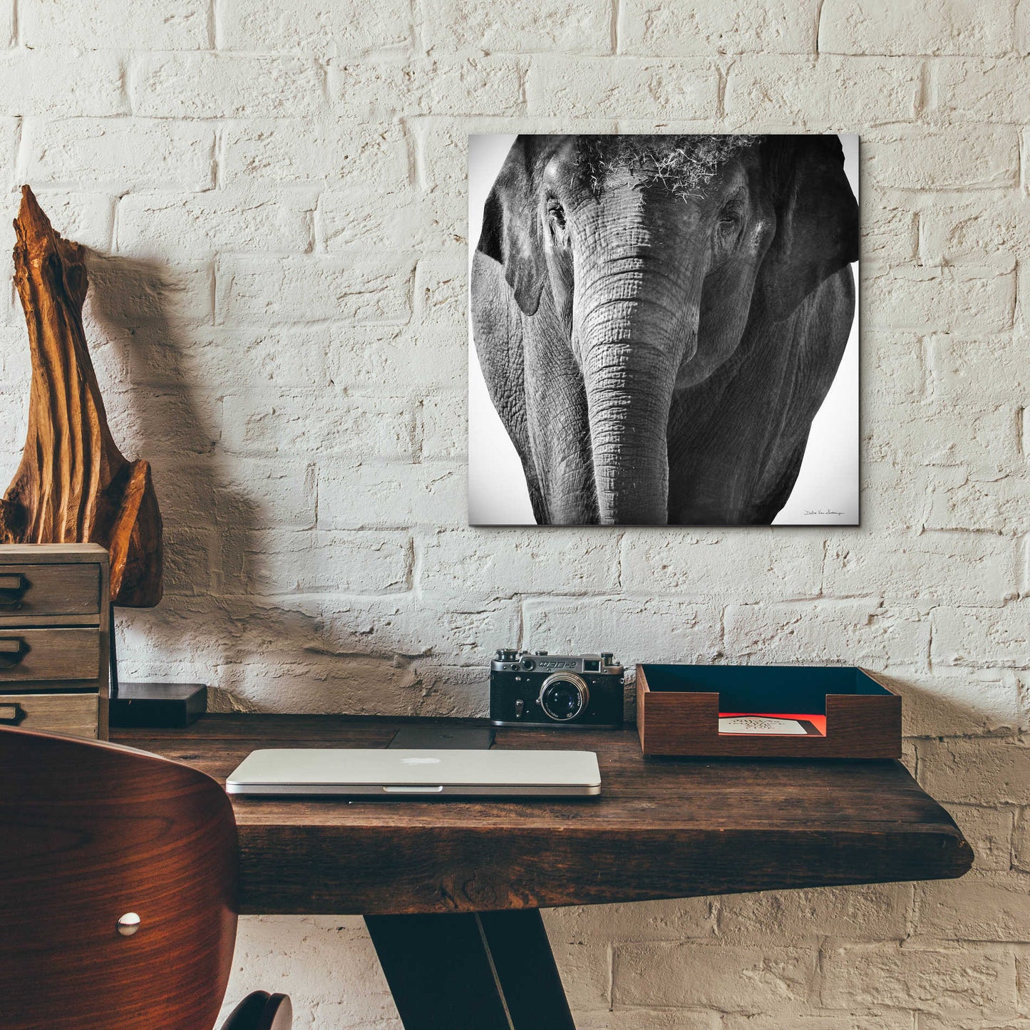 Epic Art 'Elephant I' by Debra Van Swearingen, Acrylic Glass Wall Art,12x12