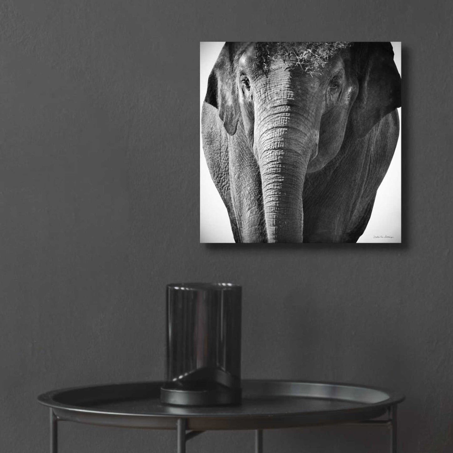 Epic Art 'Elephant I' by Debra Van Swearingen, Acrylic Glass Wall Art,12x12