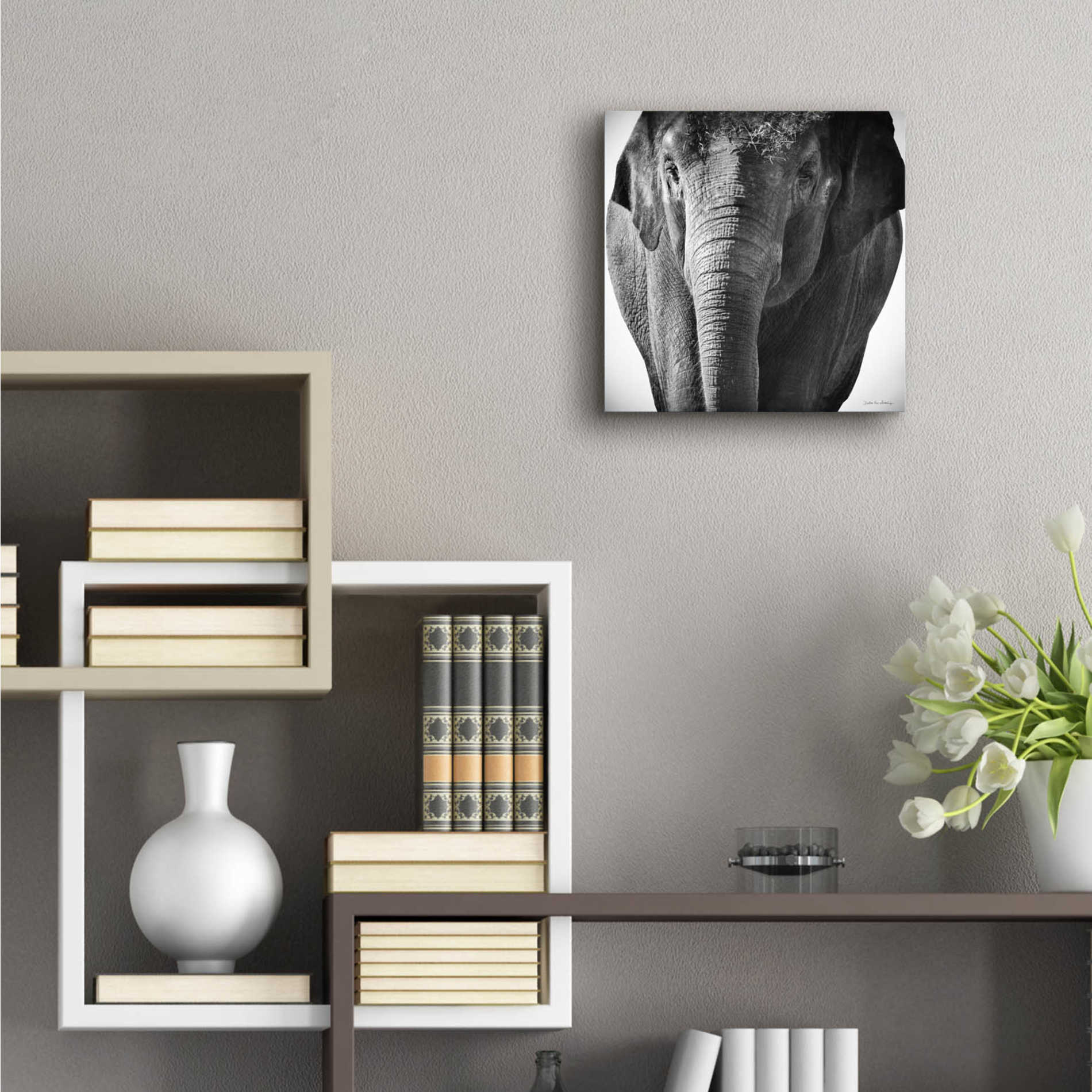 Epic Art 'Elephant I' by Debra Van Swearingen, Acrylic Glass Wall Art,12x12