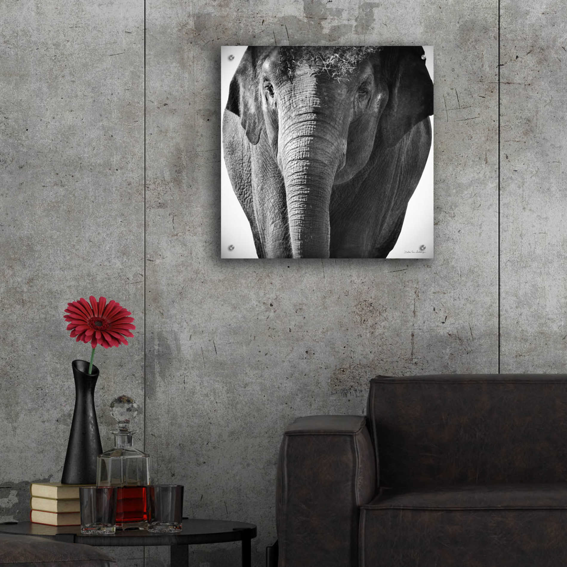 Epic Art 'Elephant I' by Debra Van Swearingen, Acrylic Glass Wall Art,24x24