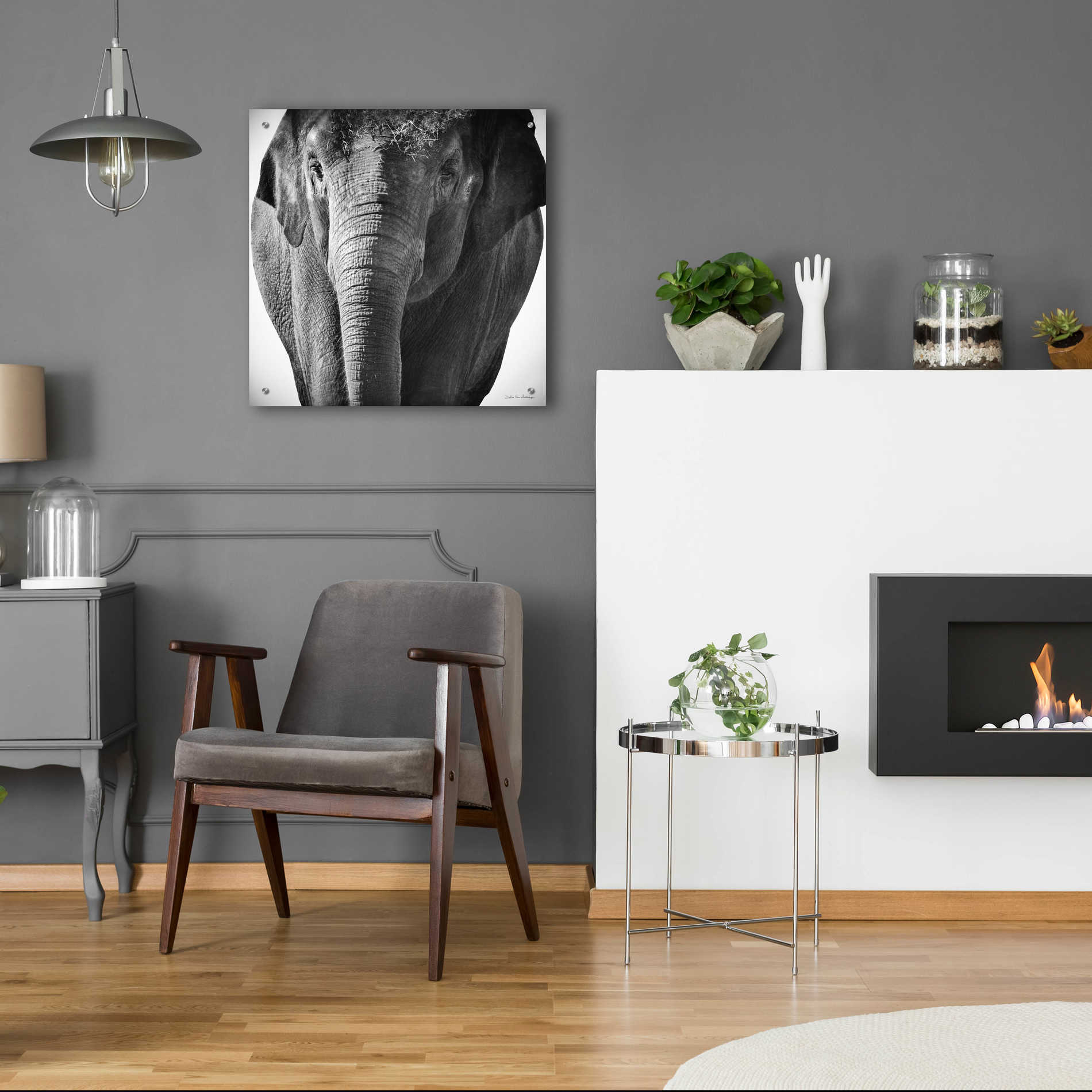 Epic Art 'Elephant I' by Debra Van Swearingen, Acrylic Glass Wall Art,24x24