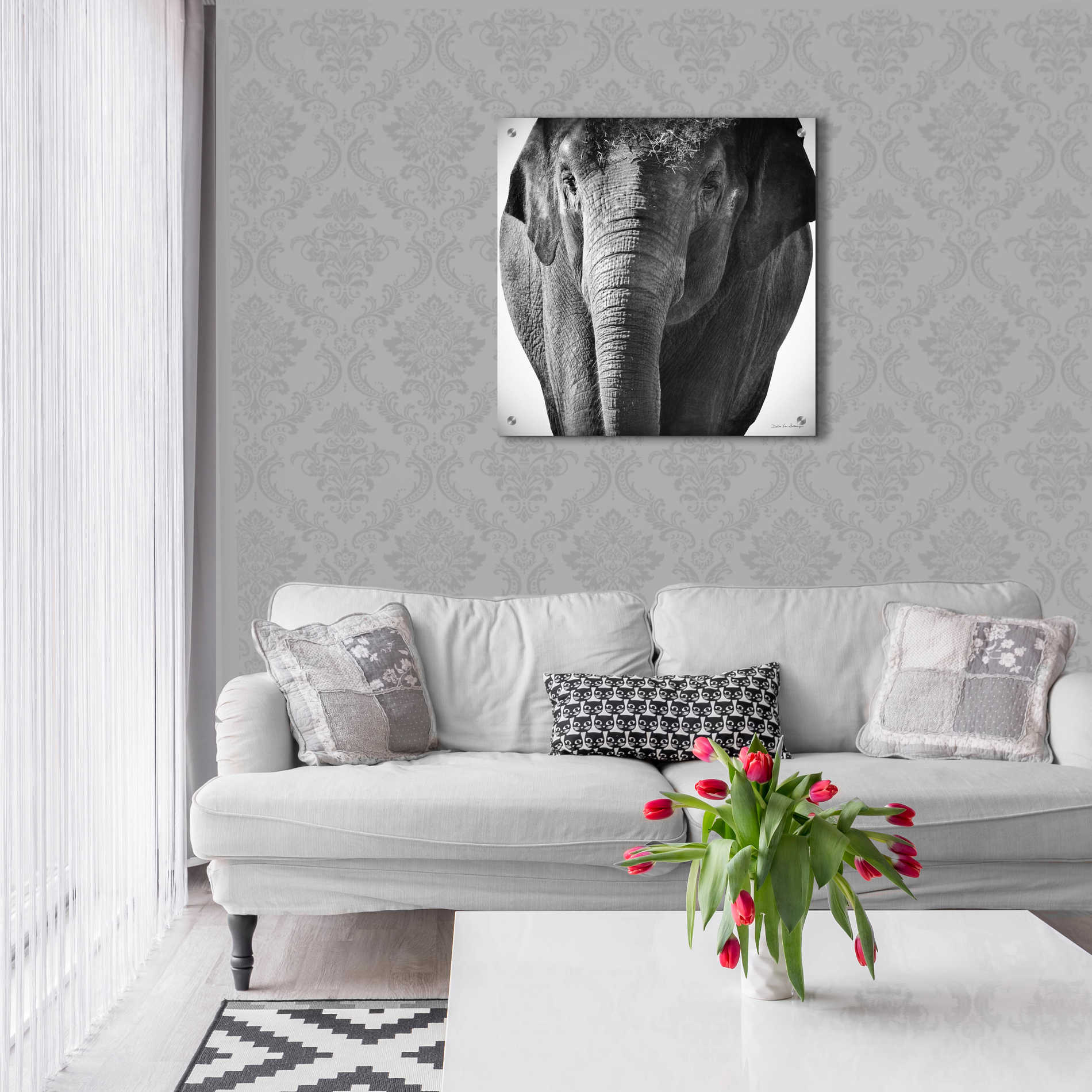 Epic Art 'Elephant I' by Debra Van Swearingen, Acrylic Glass Wall Art,24x24