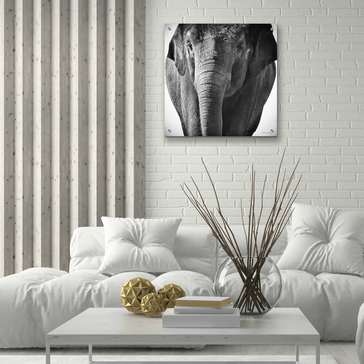 Epic Art 'Elephant I' by Debra Van Swearingen, Acrylic Glass Wall Art,24x24