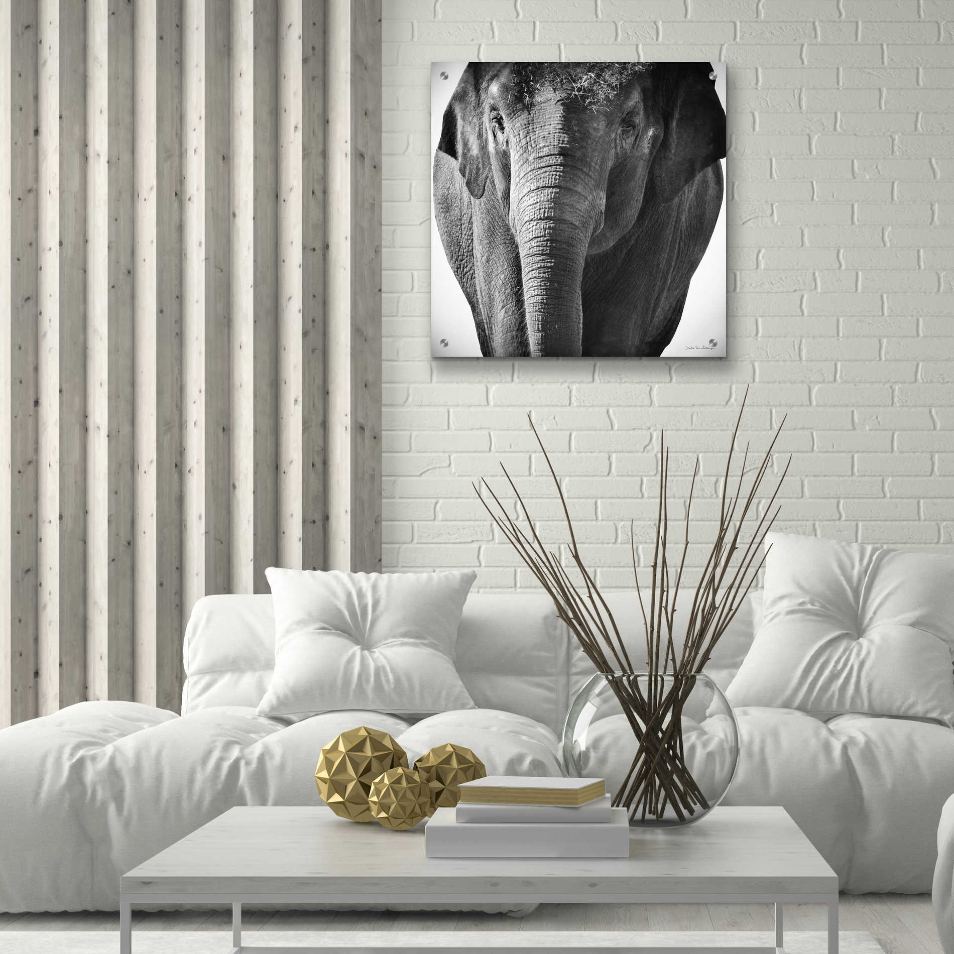 Epic Art 'Elephant I' by Debra Van Swearingen, Acrylic Glass Wall Art,24x24