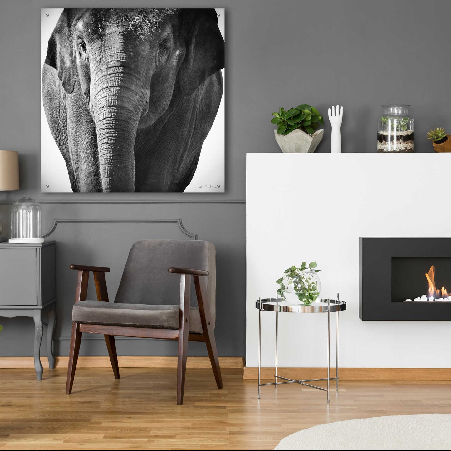 Epic Art 'Elephant I' by Debra Van Swearingen, Acrylic Glass Wall Art,36x36