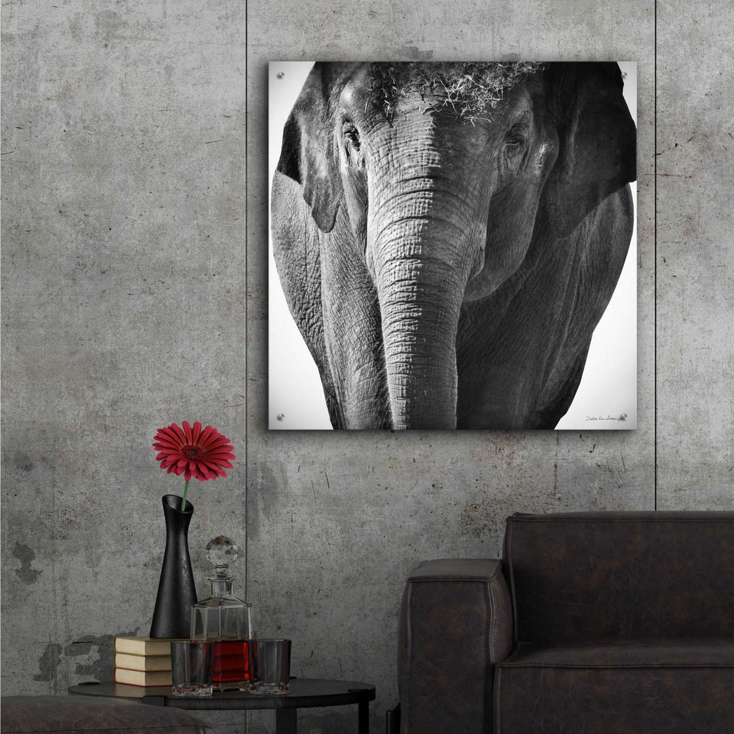 Epic Art 'Elephant I' by Debra Van Swearingen, Acrylic Glass Wall Art,36x36