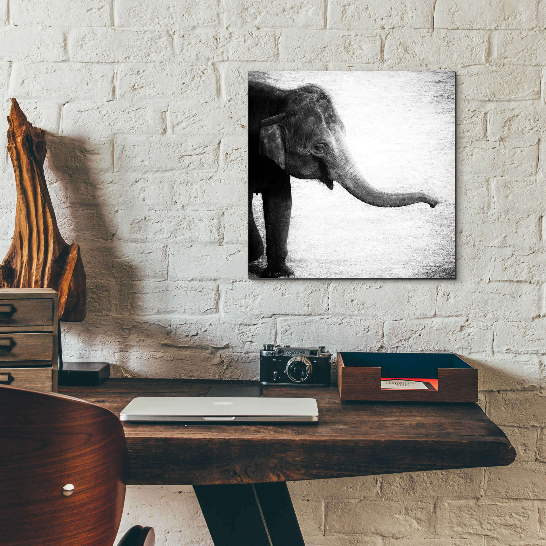 Epic Art 'Elephant II' by Debra Van Swearingen, Acrylic Glass Wall Art,12x12