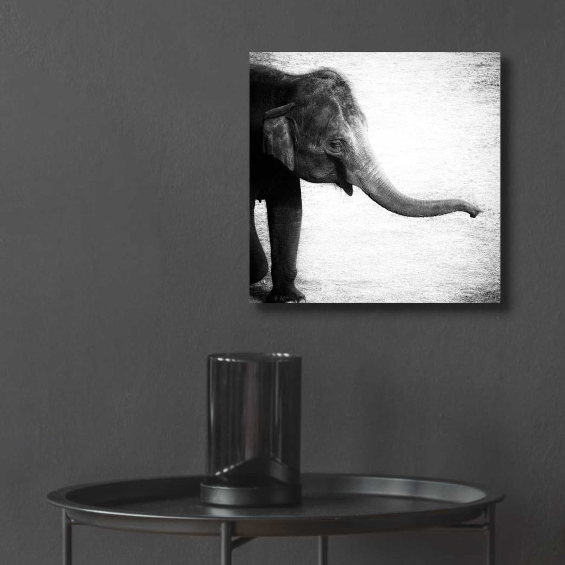 Epic Art 'Elephant II' by Debra Van Swearingen, Acrylic Glass Wall Art,12x12