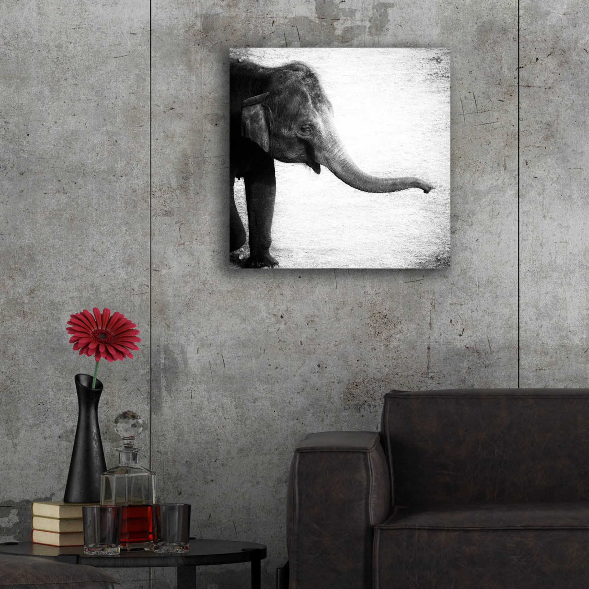 Epic Art 'Elephant II' by Debra Van Swearingen, Acrylic Glass Wall Art,24x24