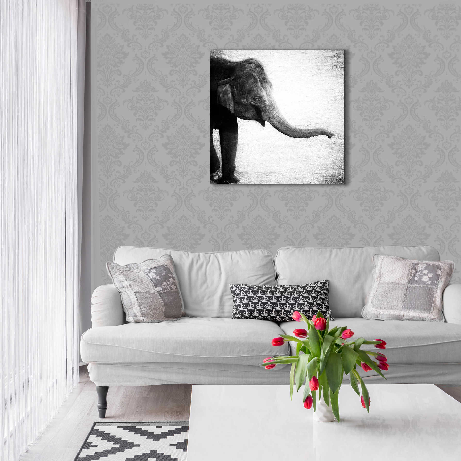 Epic Art 'Elephant II' by Debra Van Swearingen, Acrylic Glass Wall Art,24x24