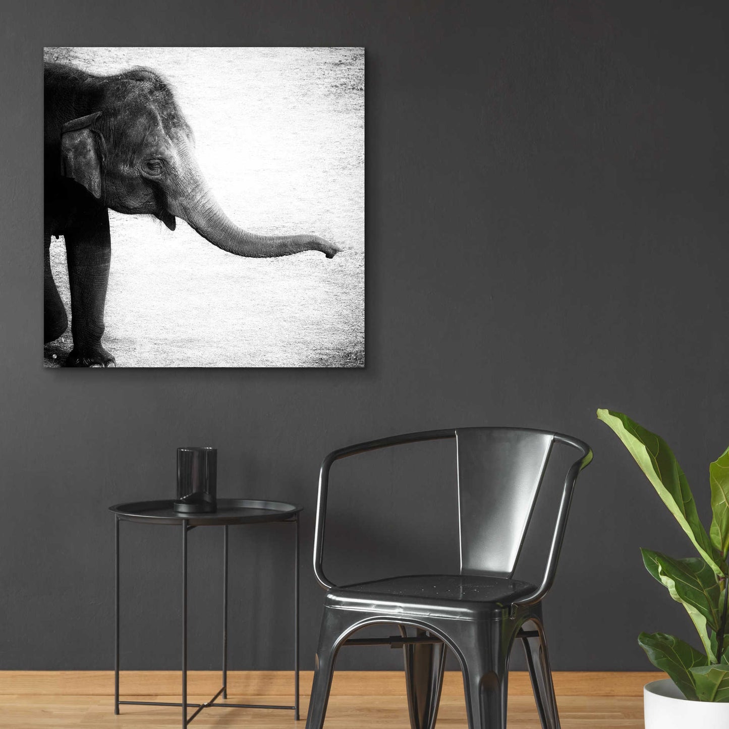 Epic Art 'Elephant II' by Debra Van Swearingen, Acrylic Glass Wall Art,36x36