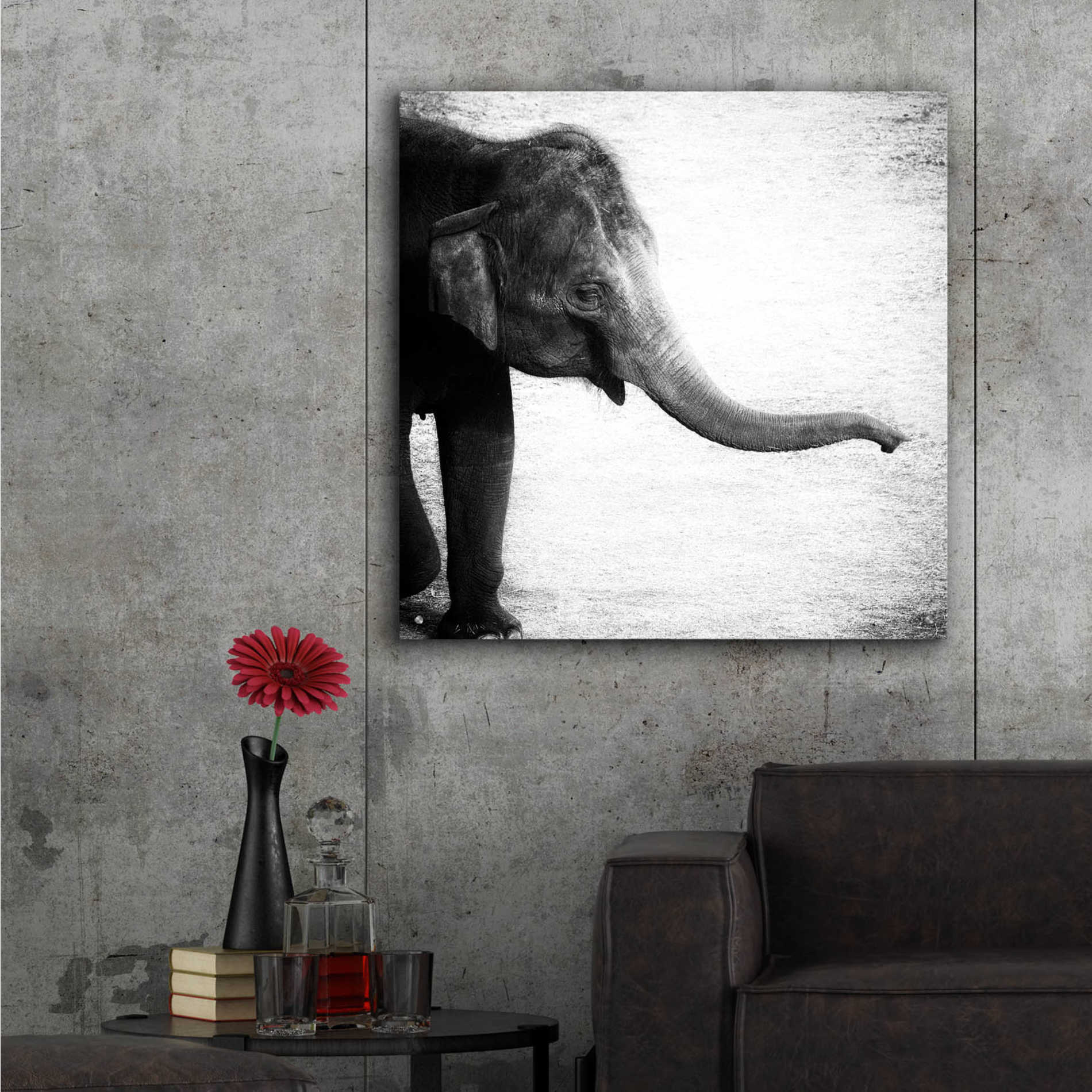 Epic Art 'Elephant II' by Debra Van Swearingen, Acrylic Glass Wall Art,36x36