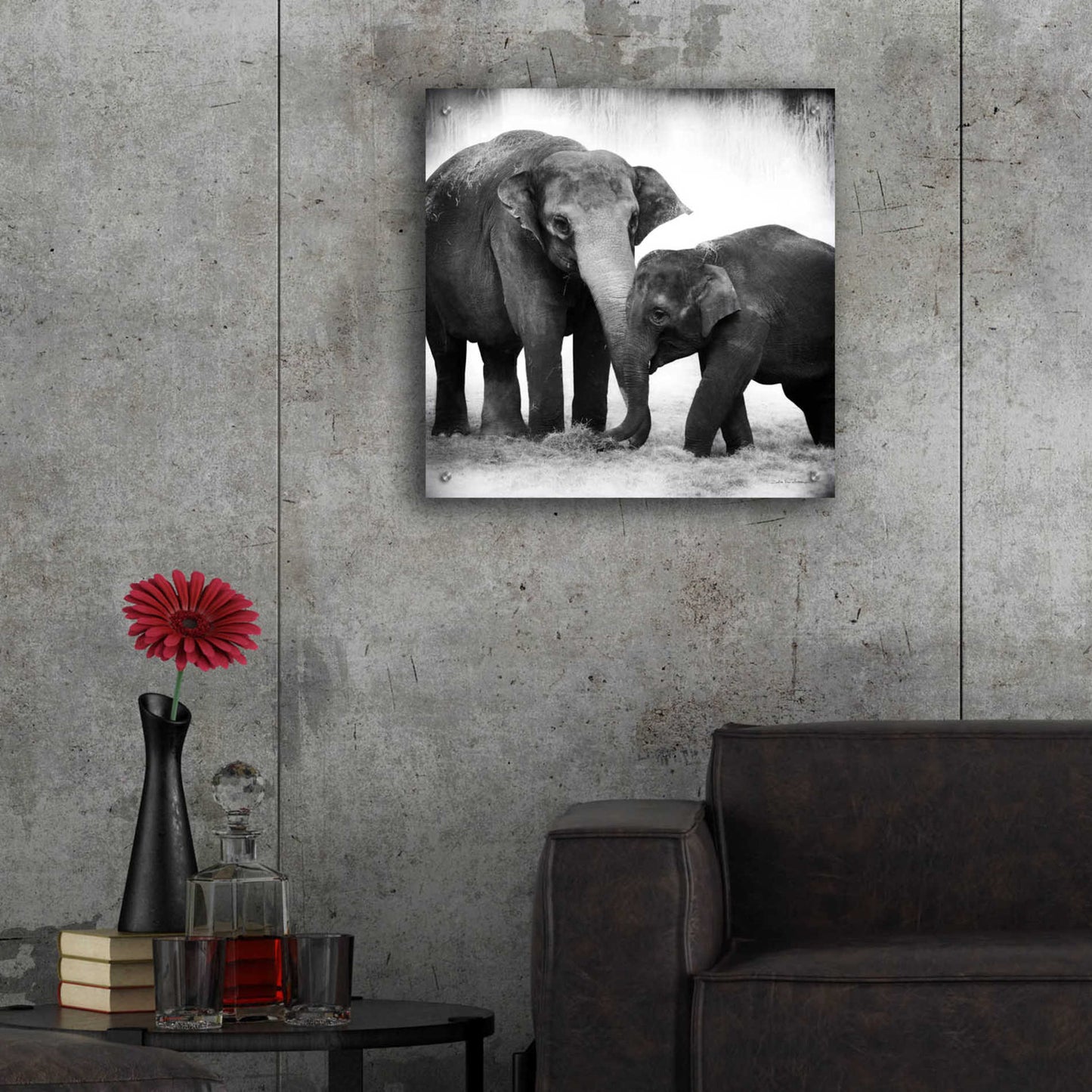 Epic Art 'Elephant III' by Debra Van Swearingen, Acrylic Glass Wall Art,24x24