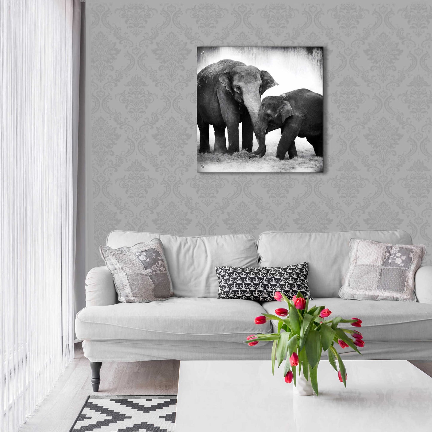 Epic Art 'Elephant III' by Debra Van Swearingen, Acrylic Glass Wall Art,24x24