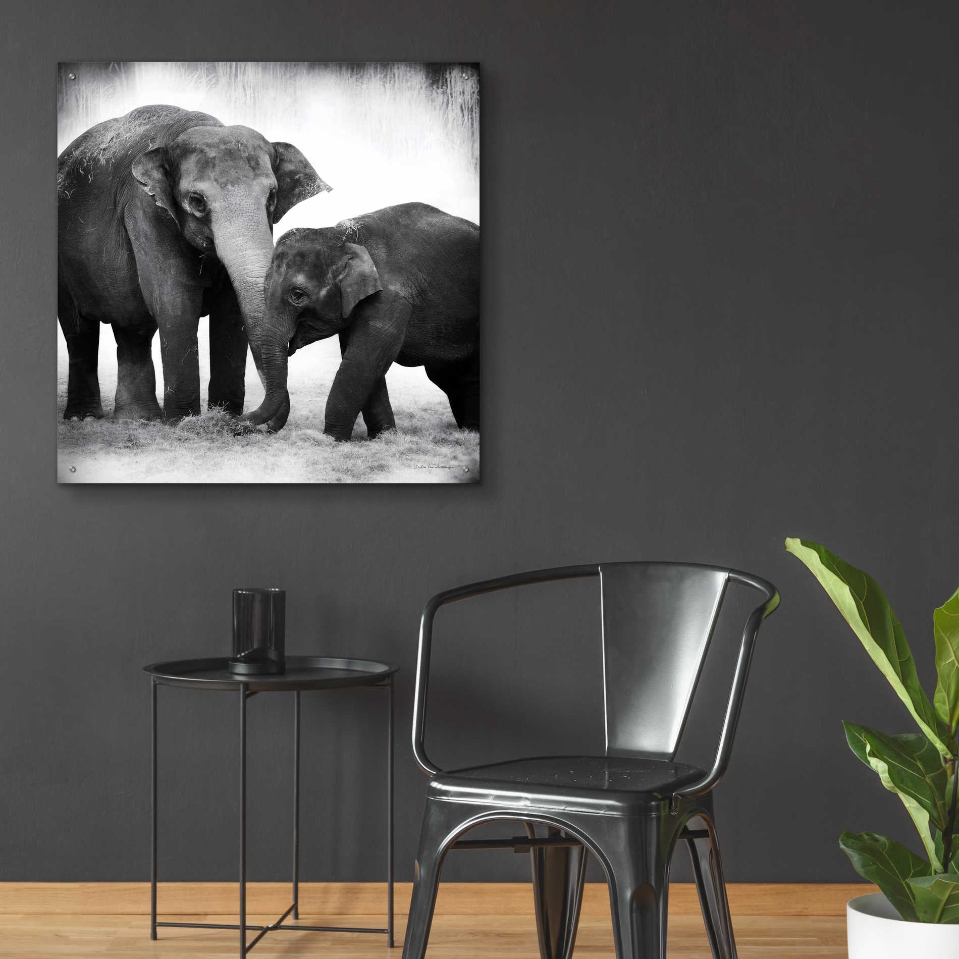 Epic Art 'Elephant III' by Debra Van Swearingen, Acrylic Glass Wall Art,36x36