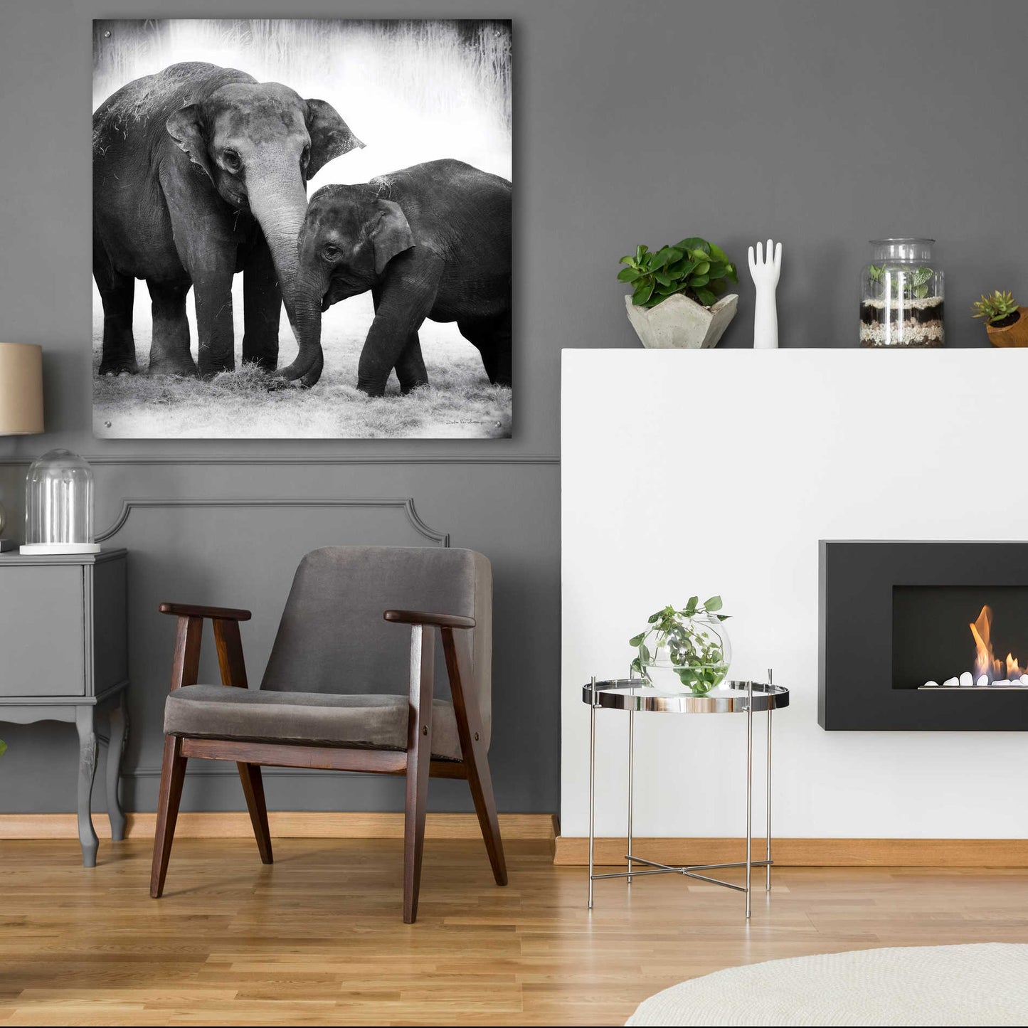 Epic Art 'Elephant III' by Debra Van Swearingen, Acrylic Glass Wall Art,36x36