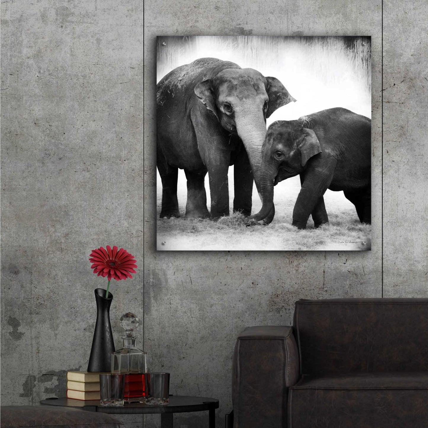 Epic Art 'Elephant III' by Debra Van Swearingen, Acrylic Glass Wall Art,36x36