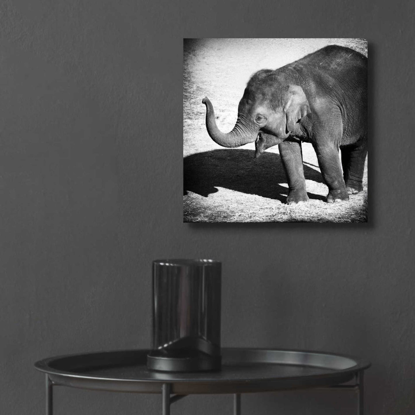 Epic Art 'Elephant IV' by Debra Van Swearingen, Acrylic Glass Wall Art,12x12