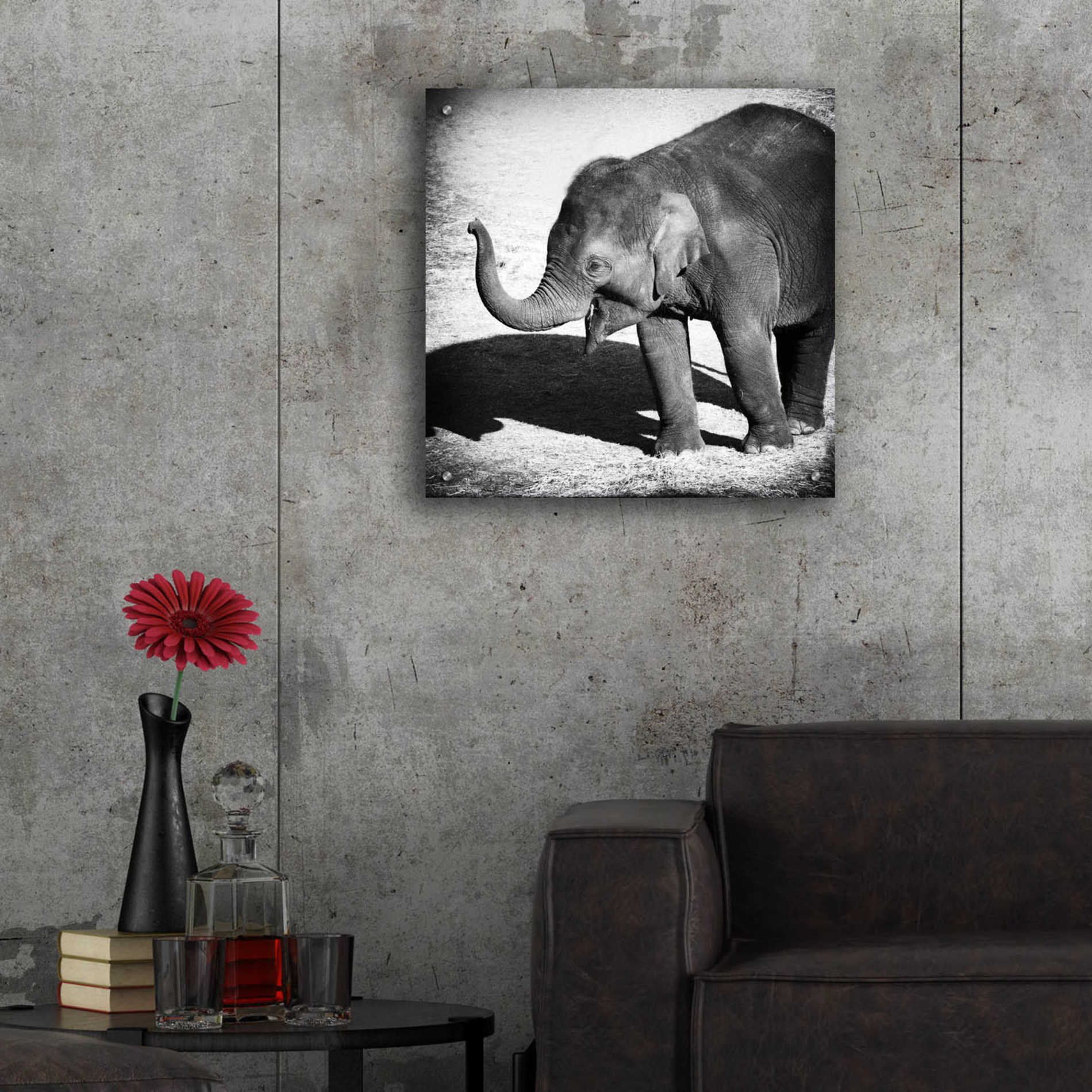 Epic Art 'Elephant IV' by Debra Van Swearingen, Acrylic Glass Wall Art,24x24