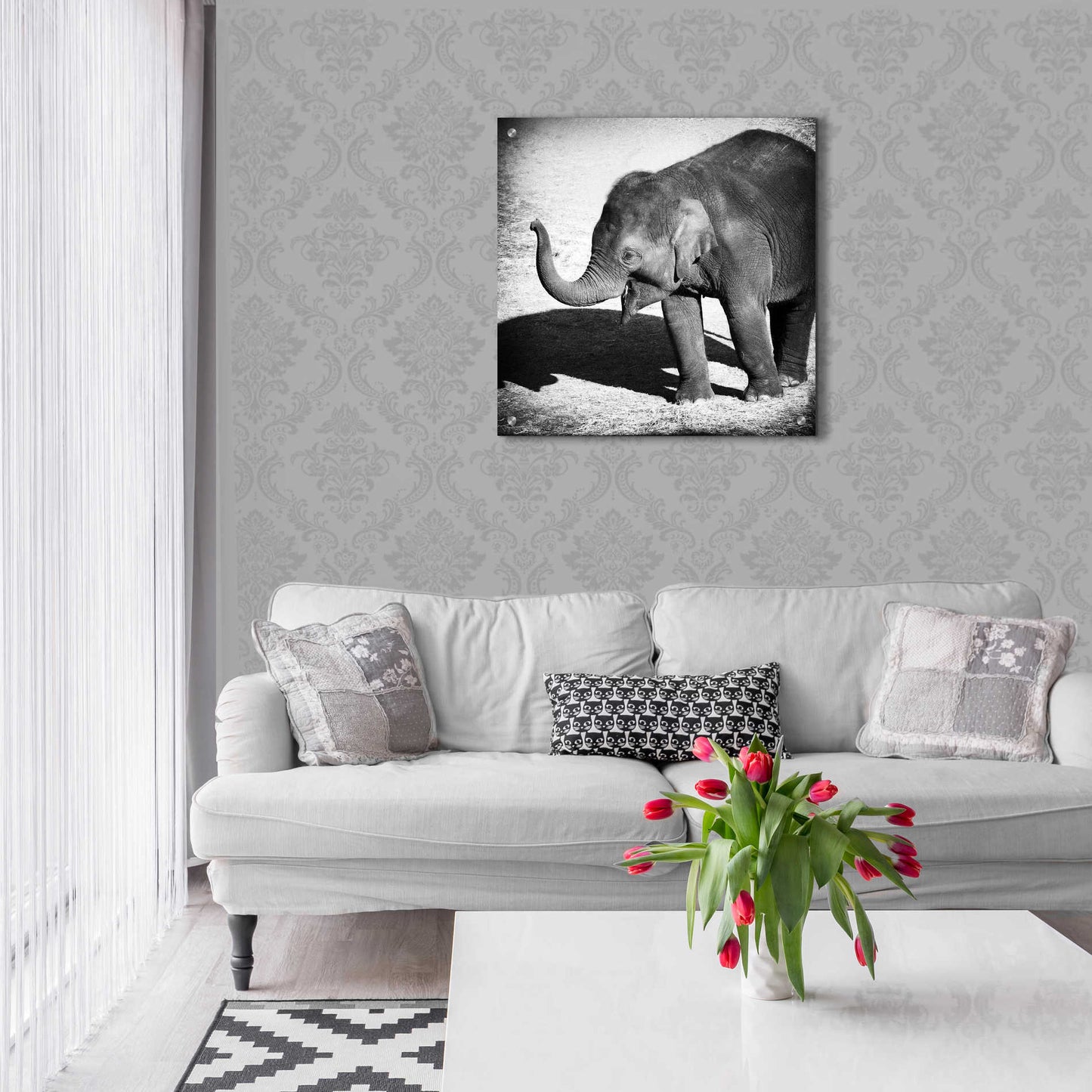 Epic Art 'Elephant IV' by Debra Van Swearingen, Acrylic Glass Wall Art,24x24