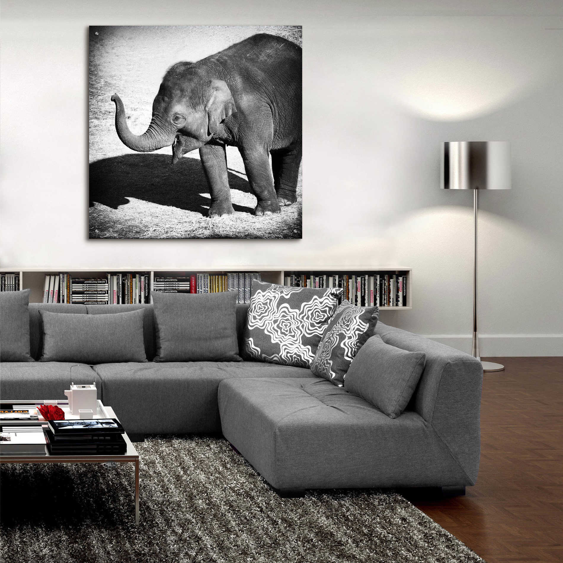 Epic Art 'Elephant IV' by Debra Van Swearingen, Acrylic Glass Wall Art,36x36