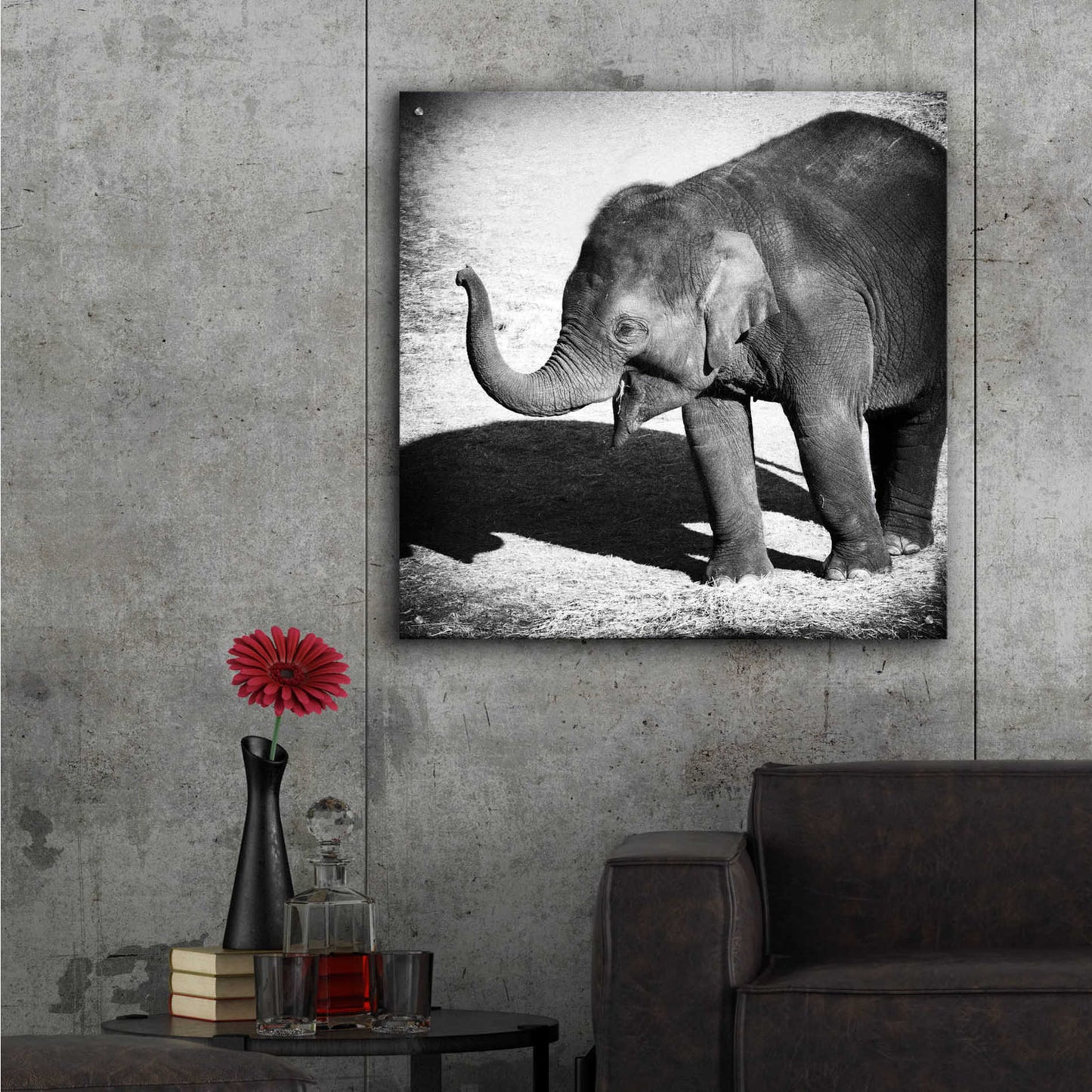 Epic Art 'Elephant IV' by Debra Van Swearingen, Acrylic Glass Wall Art,36x36