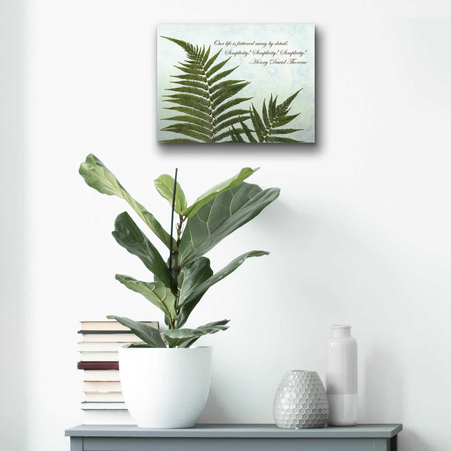 Epic Art 'Delicate Fern' by Debra Van Swearingen, Acrylic Glass Wall Art,16x12