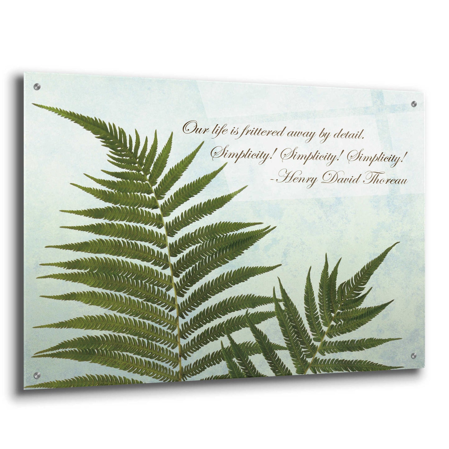 Epic Art 'Delicate Fern' by Debra Van Swearingen, Acrylic Glass Wall Art,36x24