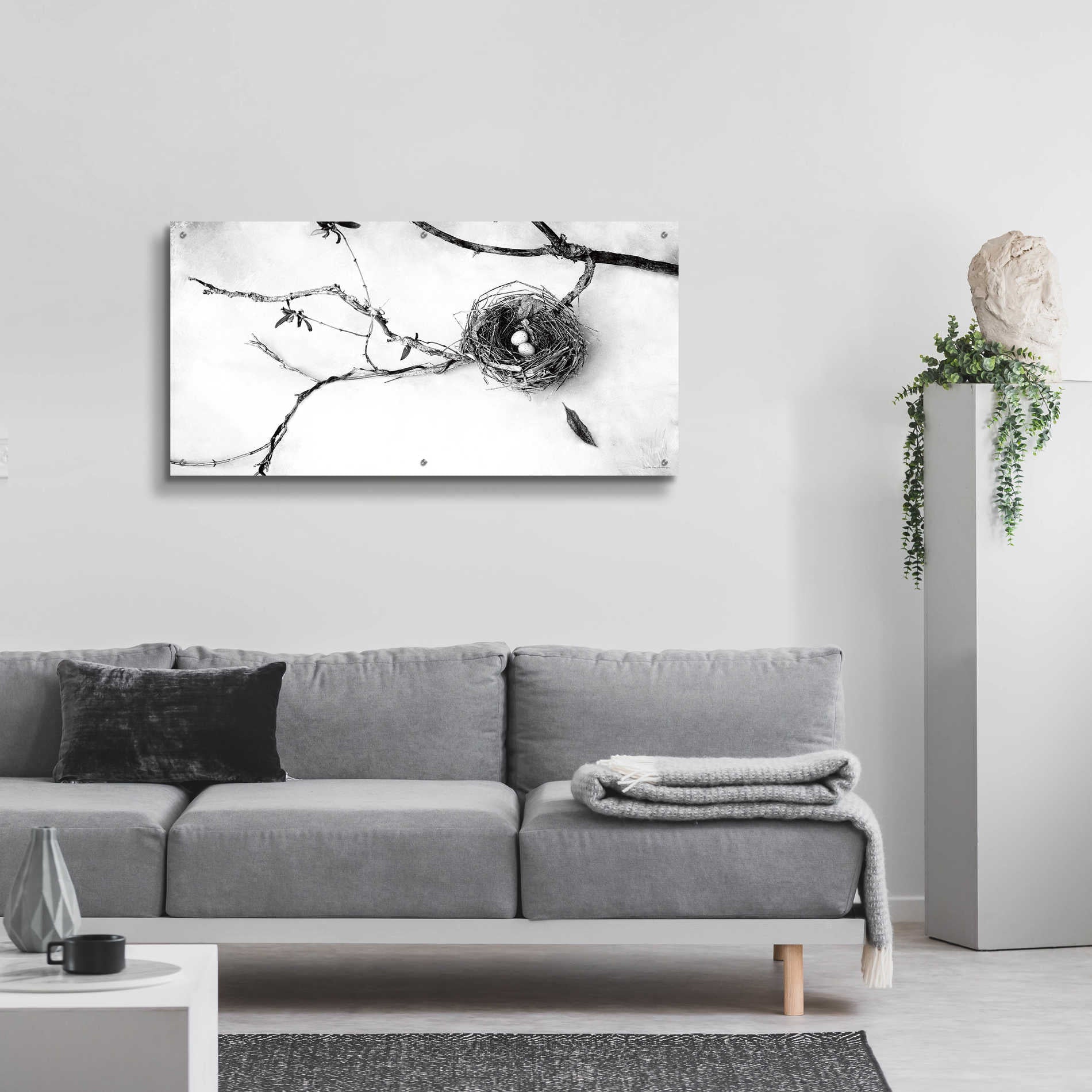 Epic Art 'Nest and Branch II' by Debra Van Swearingen, Acrylic Glass Wall Art,48x24