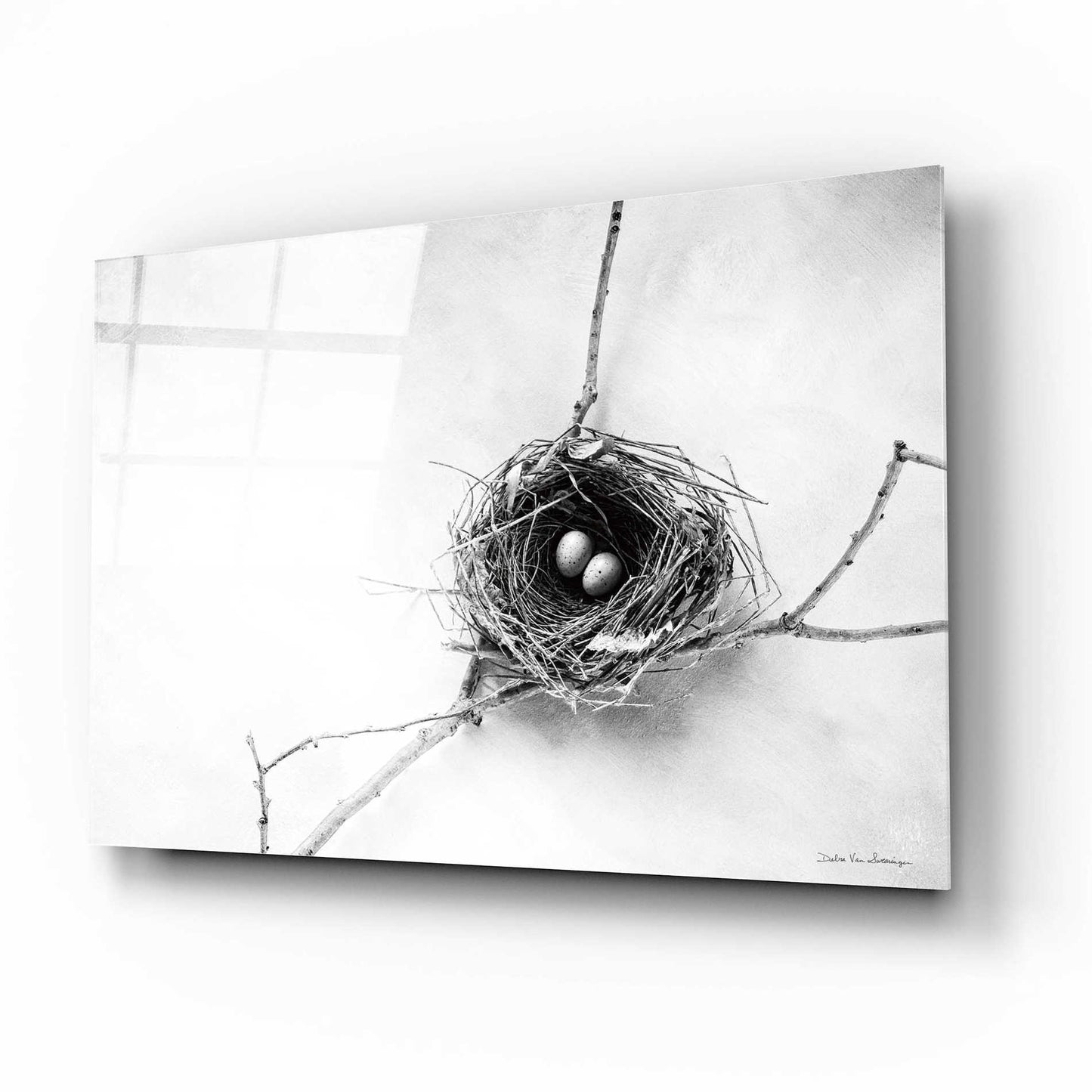 Epic Art 'Nest and Branch IV' by Debra Van Swearingen, Acrylic Glass Wall Art,16x12