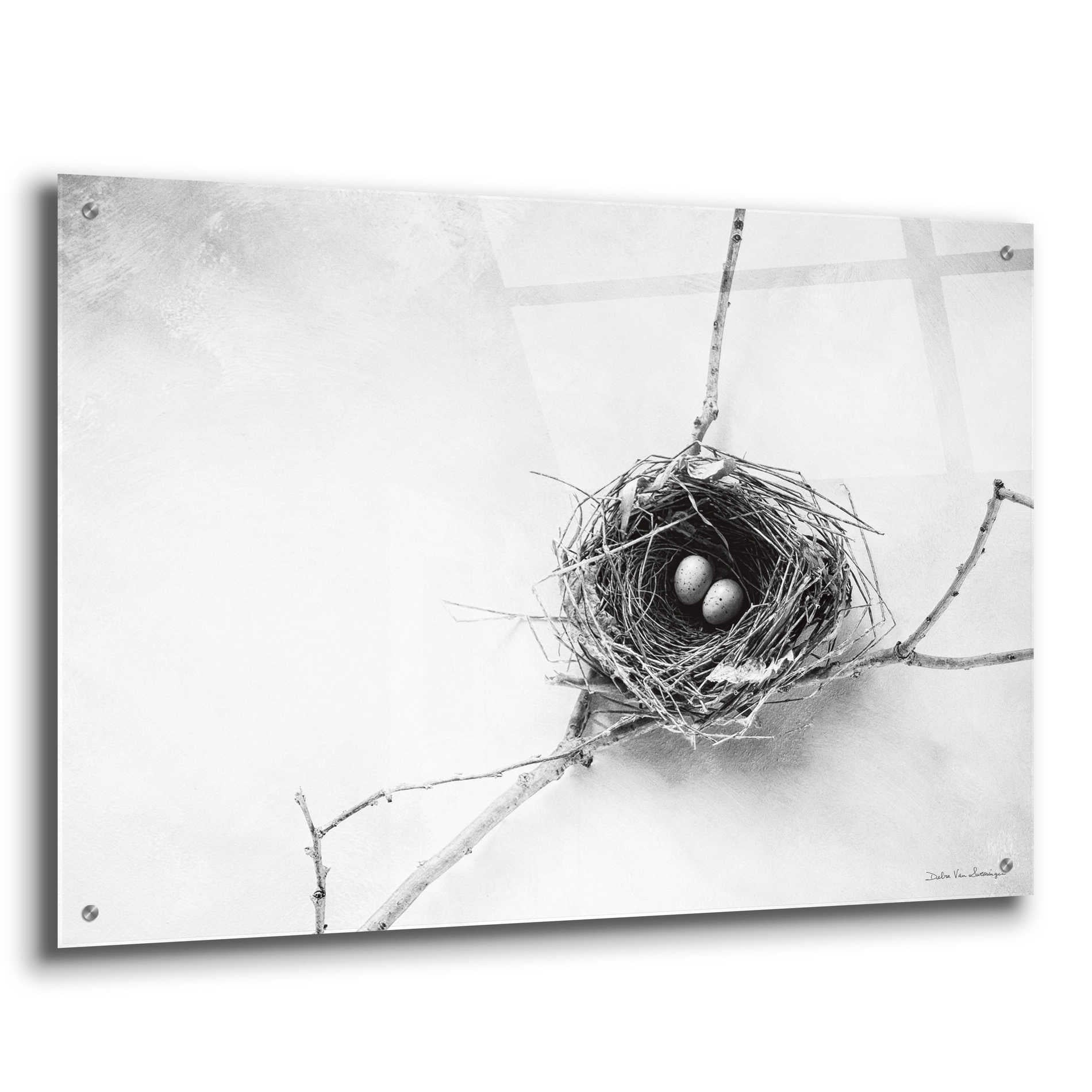 Epic Art 'Nest and Branch IV' by Debra Van Swearingen, Acrylic Glass Wall Art,36x24