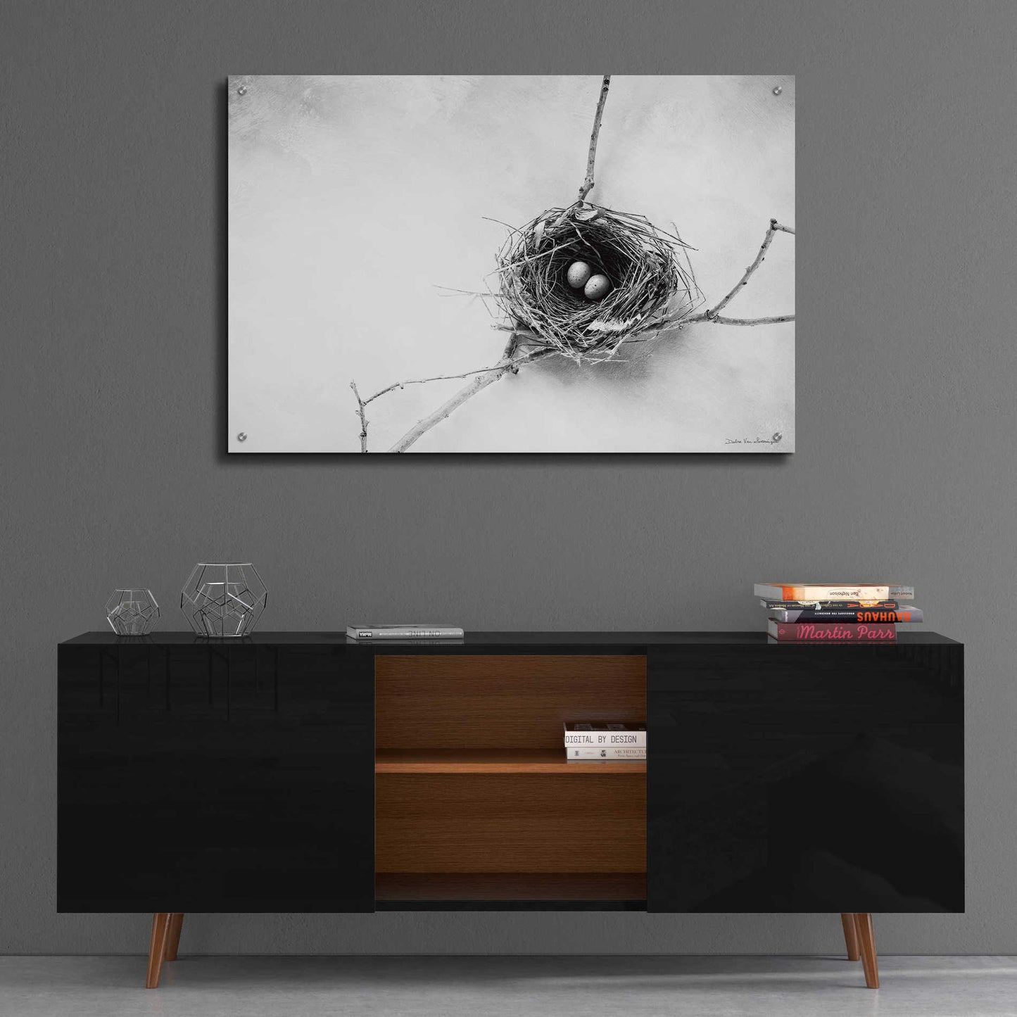 Epic Art 'Nest and Branch IV' by Debra Van Swearingen, Acrylic Glass Wall Art,36x24