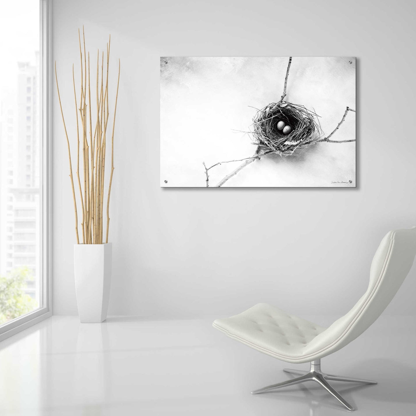 Epic Art 'Nest and Branch IV' by Debra Van Swearingen, Acrylic Glass Wall Art,36x24