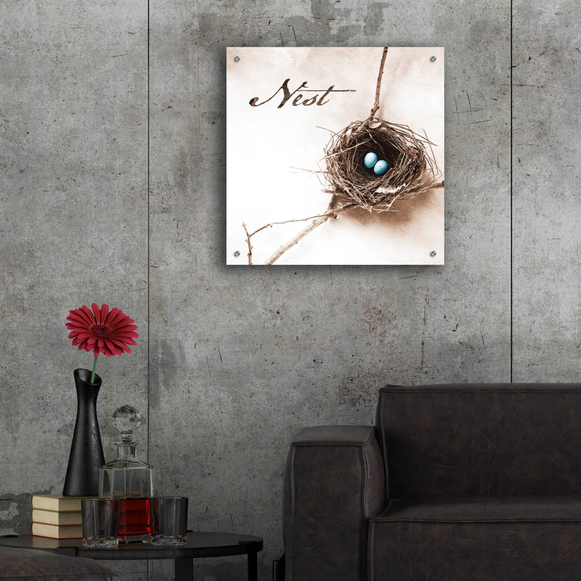 Epic Art 'Nest and Branch IV - Nest' by Debra Van Swearingen, Acrylic Glass Wall Art,24x24