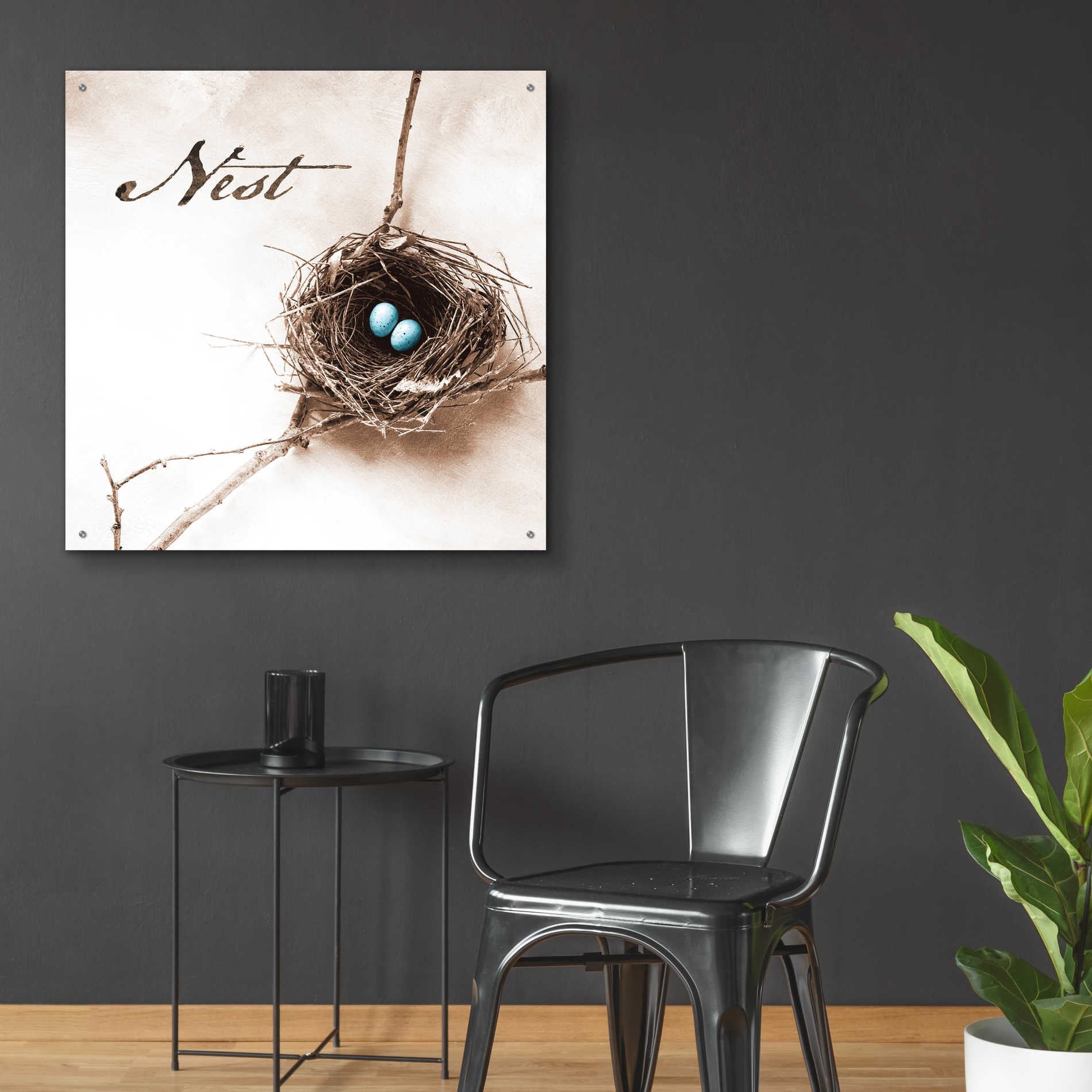 Epic Art 'Nest and Branch IV - Nest' by Debra Van Swearingen, Acrylic Glass Wall Art,36x36