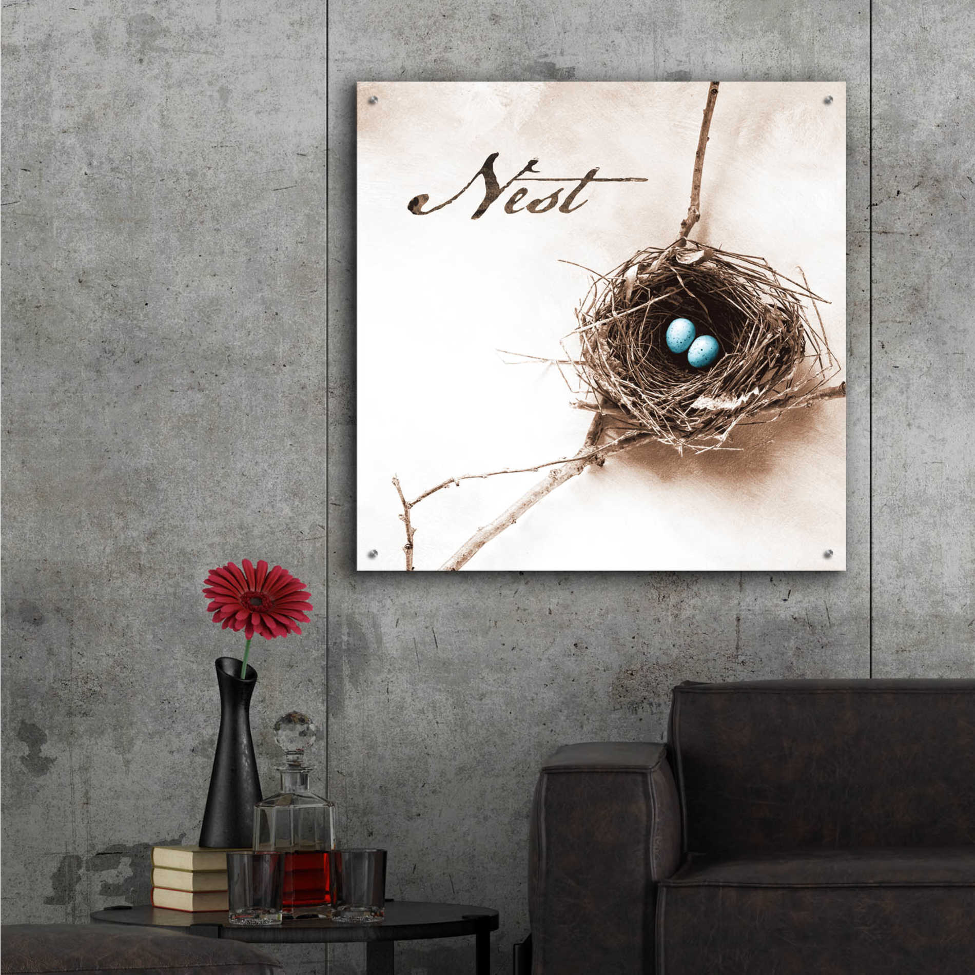 Epic Art 'Nest and Branch IV - Nest' by Debra Van Swearingen, Acrylic Glass Wall Art,36x36