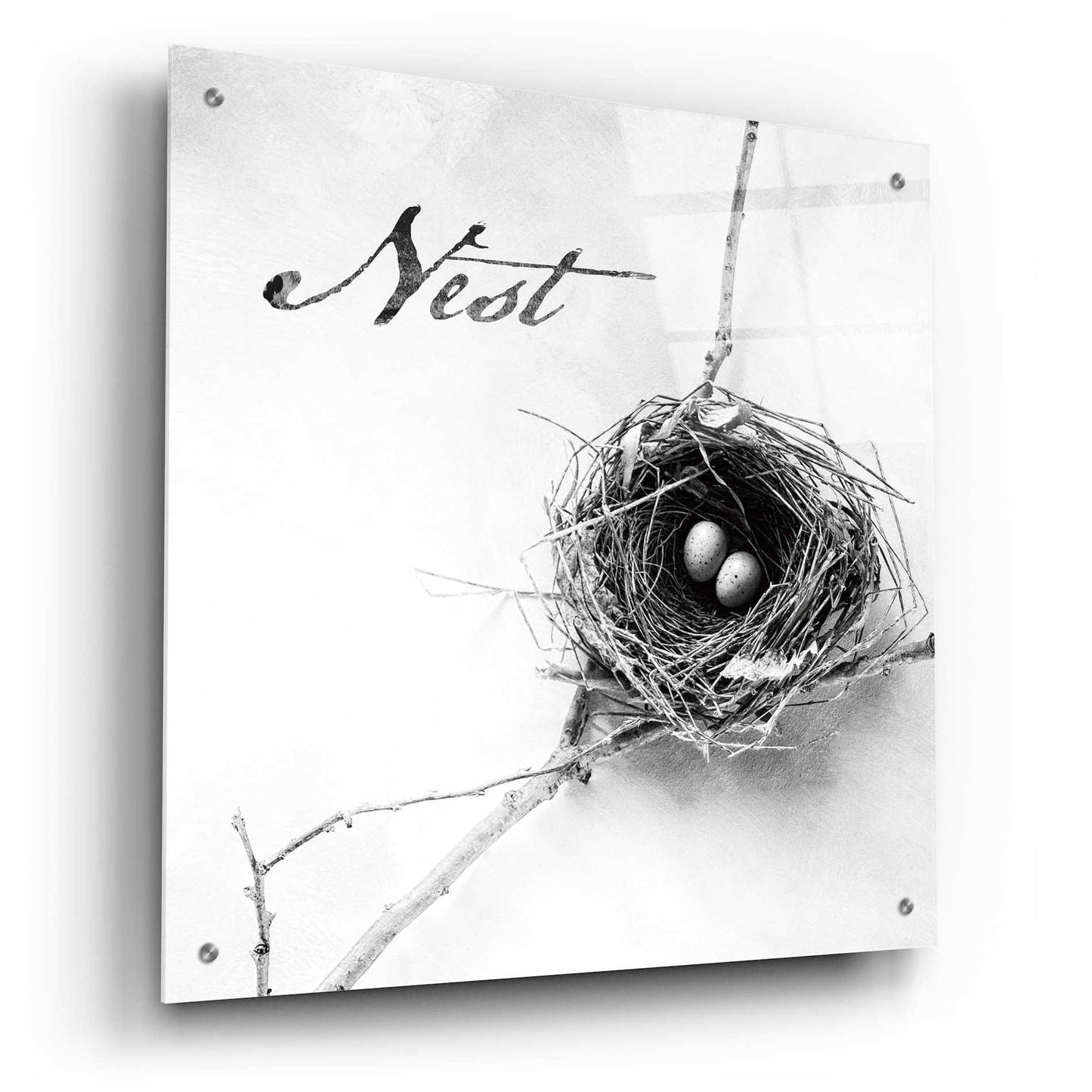 Epic Art 'Nest and Branch IV - Nest B&W' by Debra Van Swearingen, Acrylic Glass Wall Art,24x24